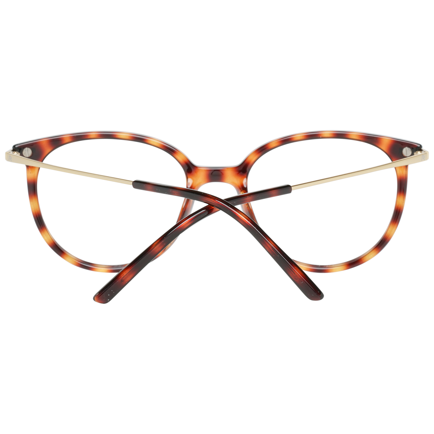 Rodenstock Optical Frame R5312 D 49