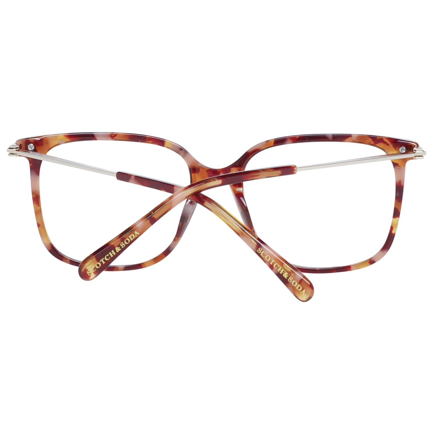 Monture optique Scotch & Soda SS3012 371 54