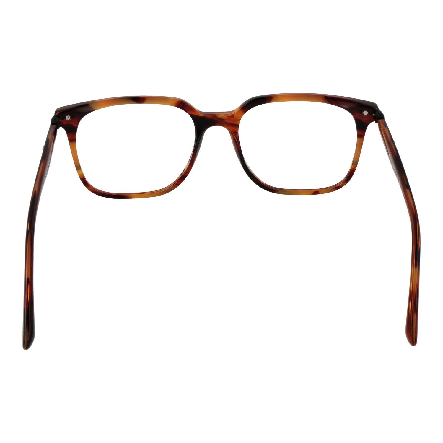 Monture optique Scotch & Soda SS4025 107 55
