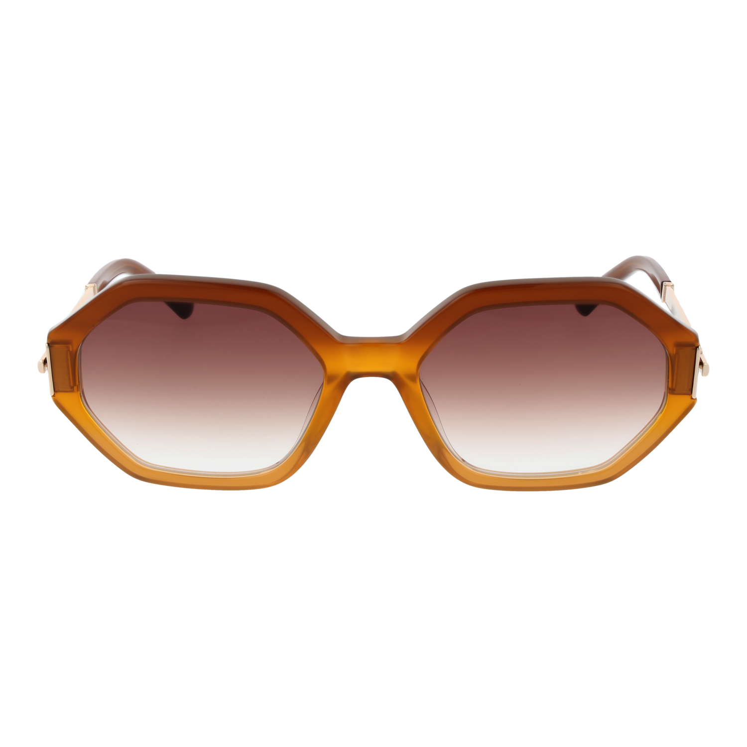 Sandro Lunettes de soleil SD6046 104 55