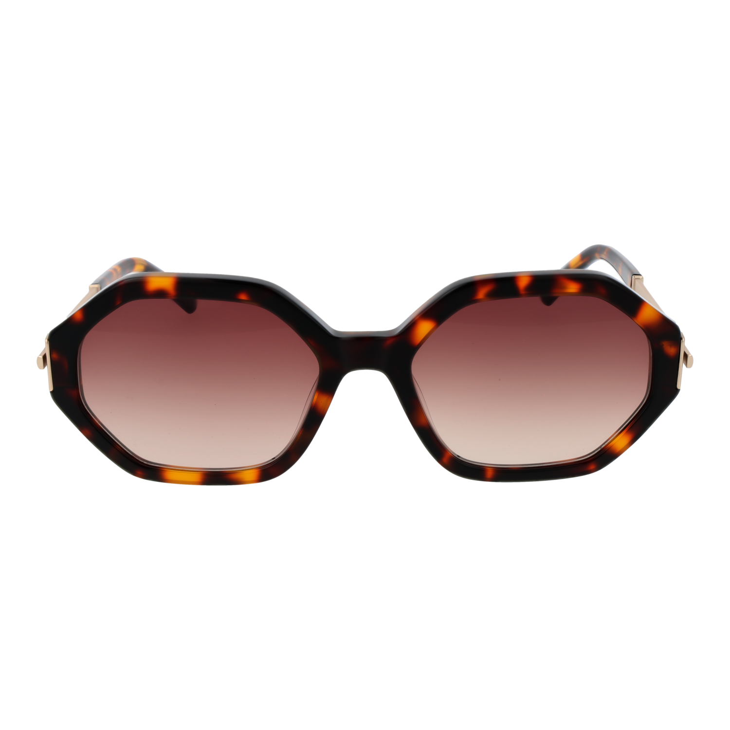 Sandro Lunettes de soleil SD6046 128 55