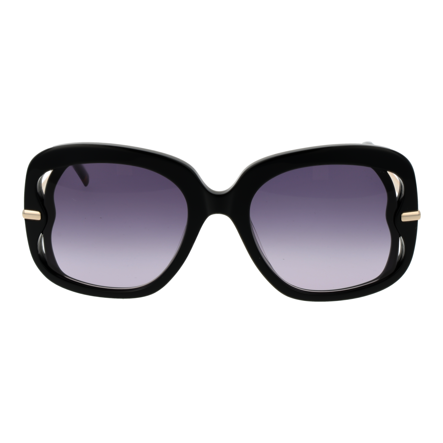 Sandro Lunettes de soleil SD6048 001 53