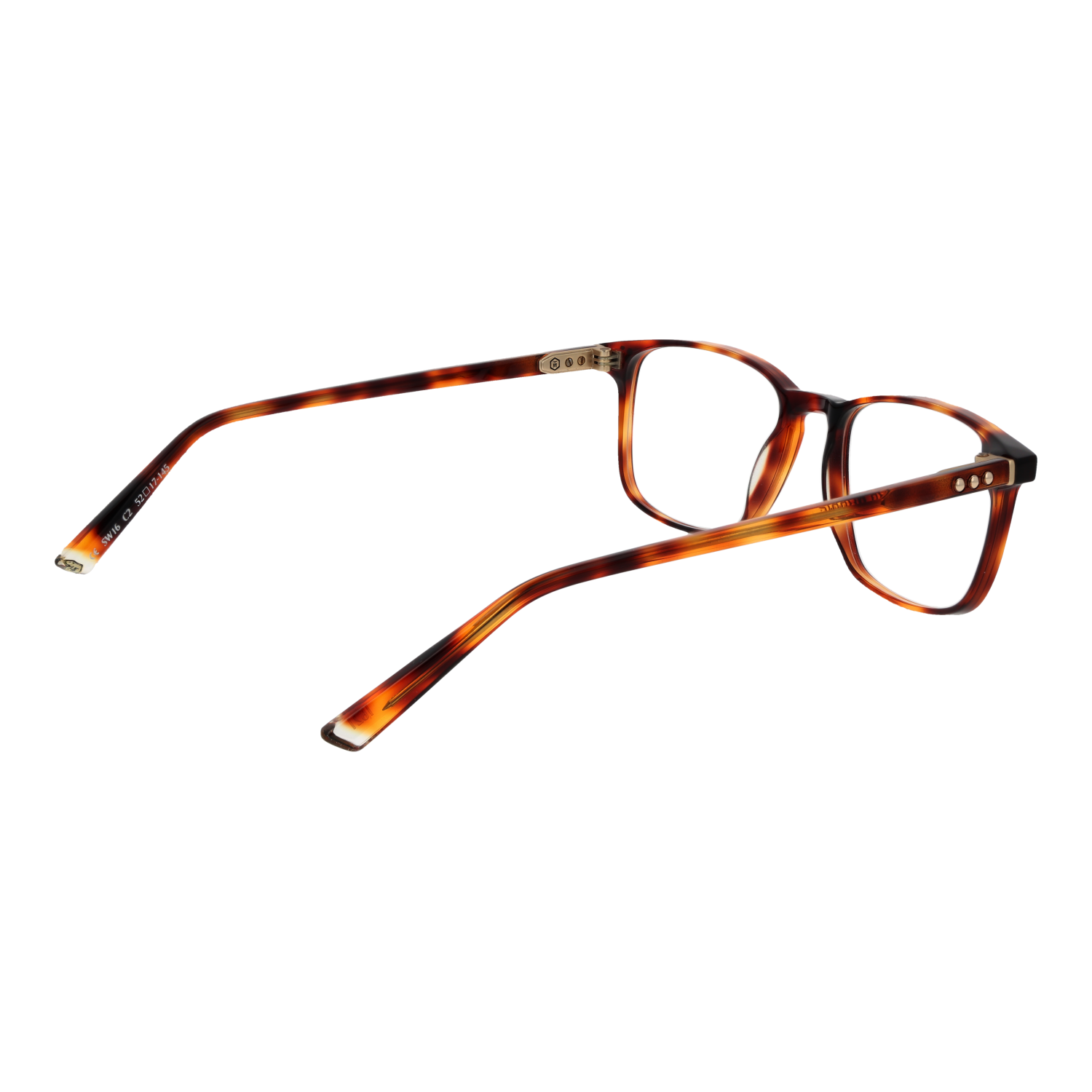 Taylor Morris Optical Frame SW16 C2 52