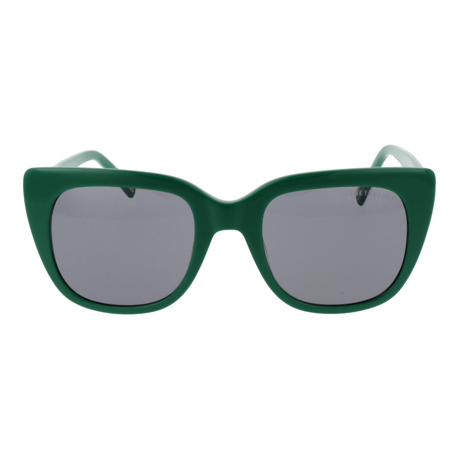 Lunettes de soleil Funky Buddha FBS2038 003 51