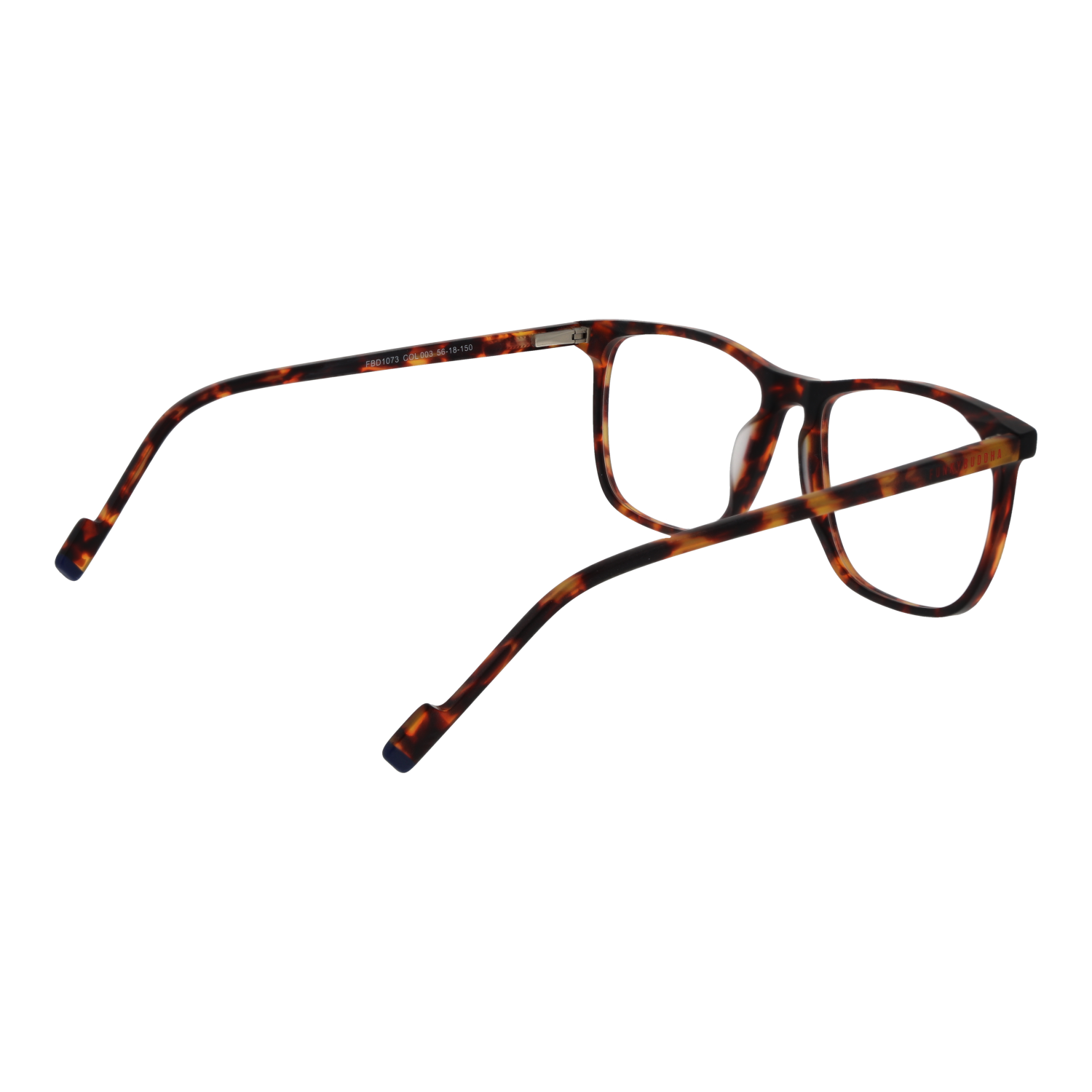Funky Buddha Optical Frame FBD1073 003 56