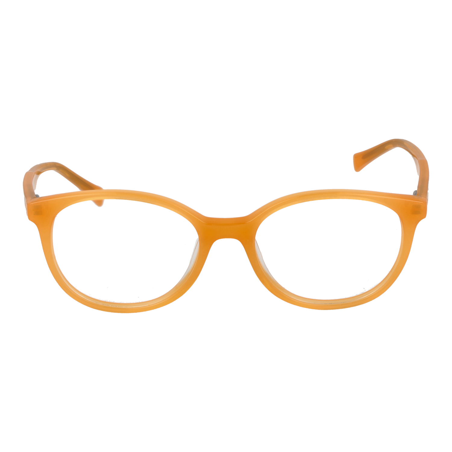 Monture optique Bulget BGT6252 T03 49