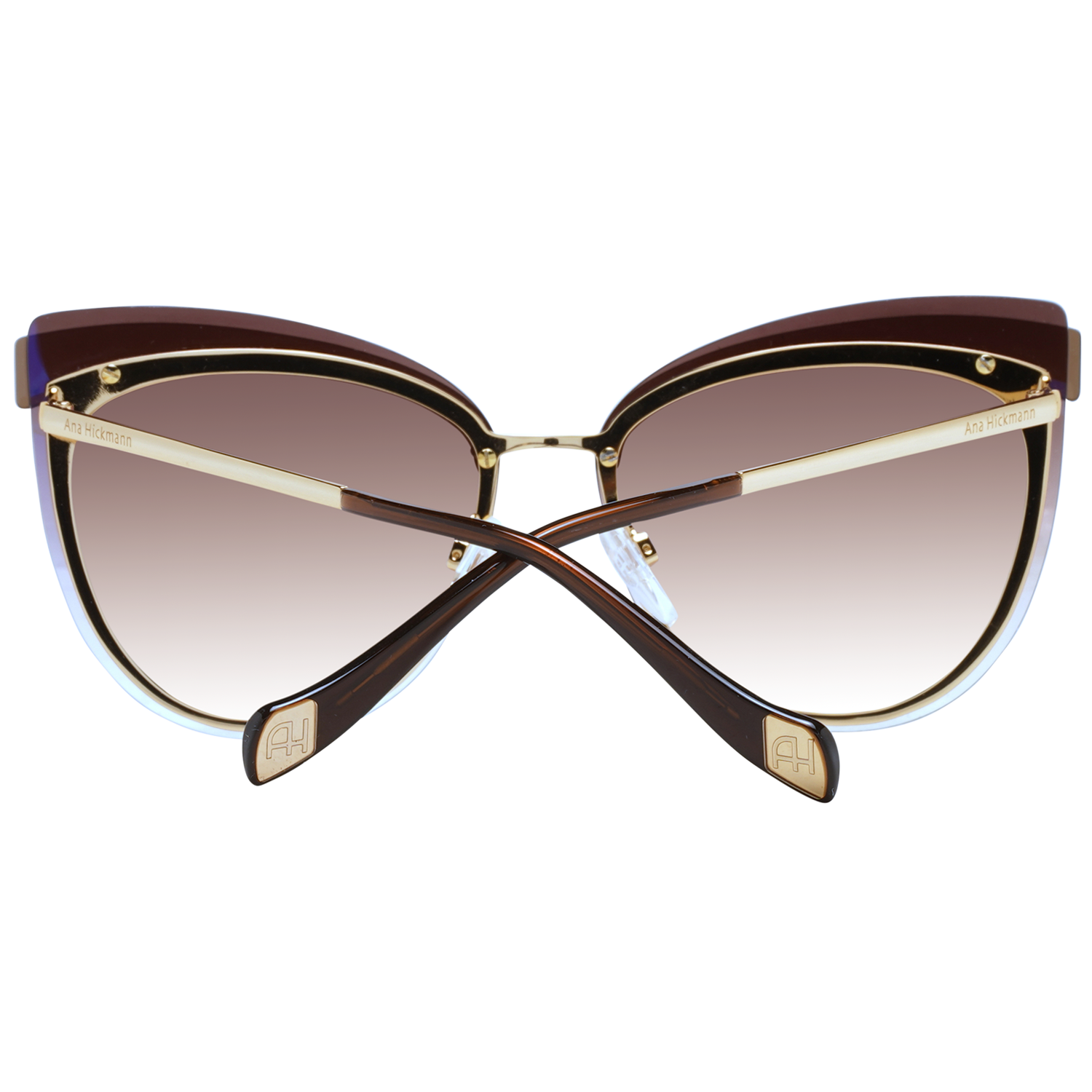 Ana Hickmann Sunglasses AH3178 04C 66