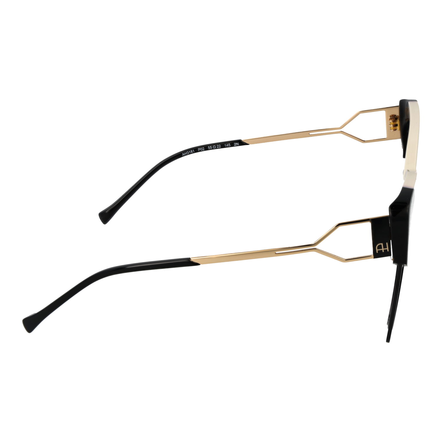 Ana Hickmann Sunglasses AH3181 P02 54