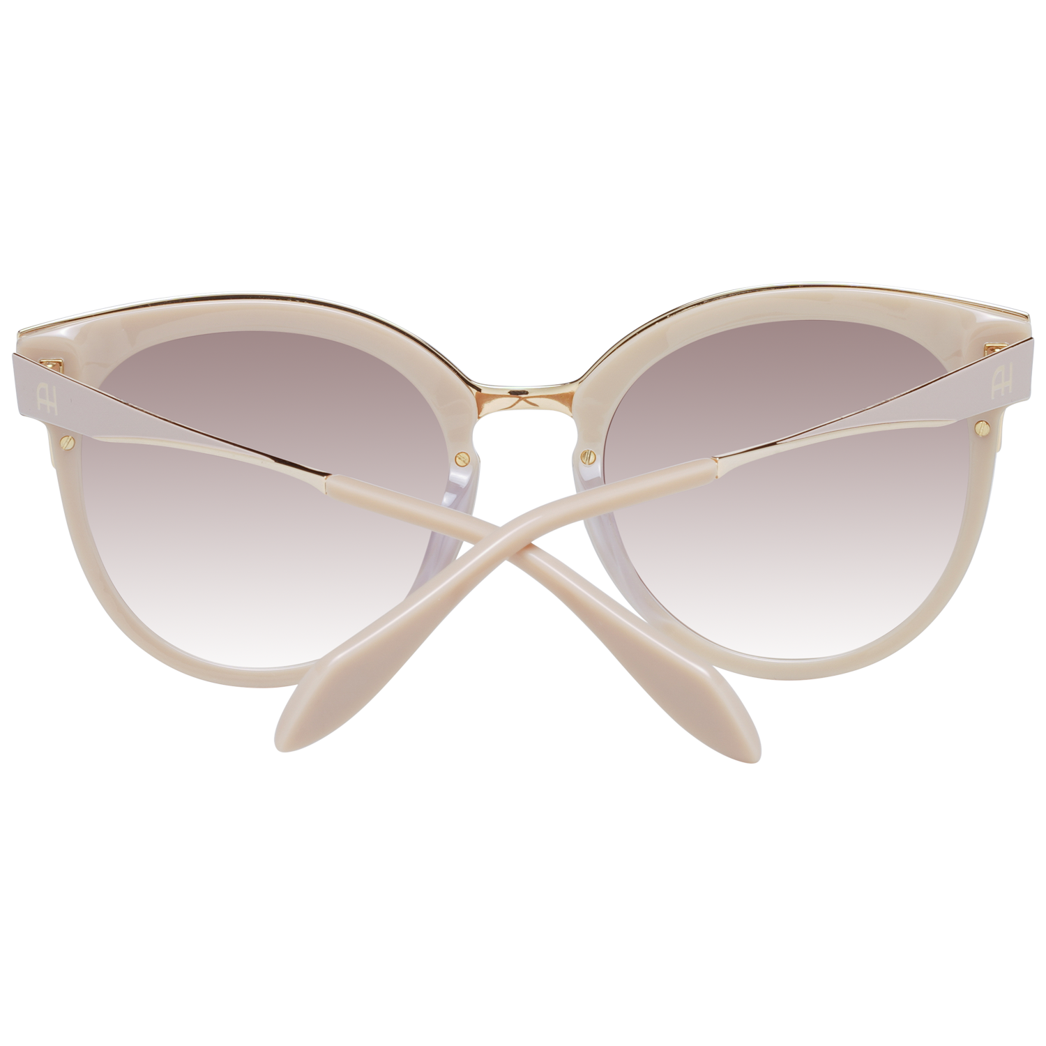 Ana Hickmann Sunglasses AH9263 D03 55