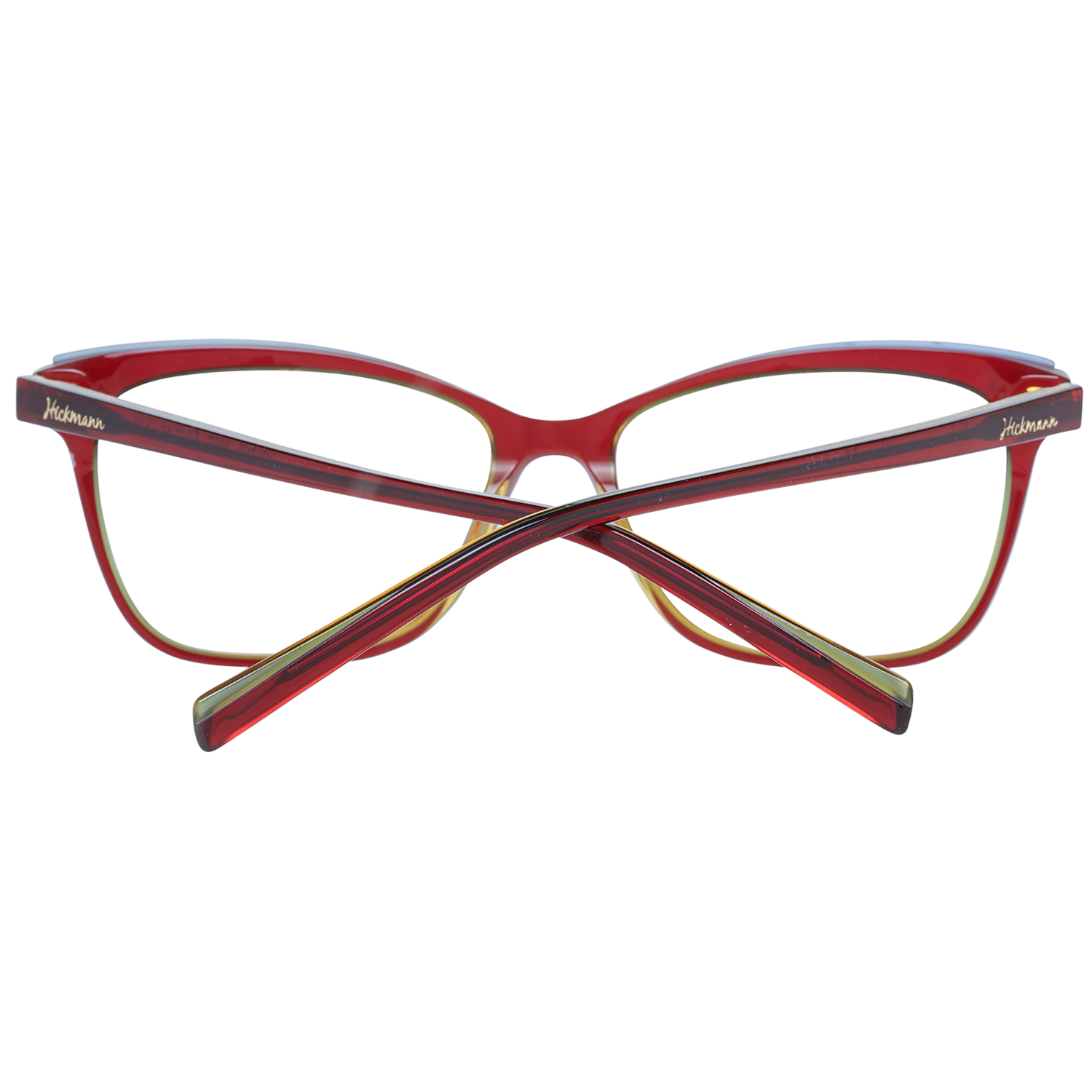 Ana Hickmann Optical Frame HI6101 H07 53