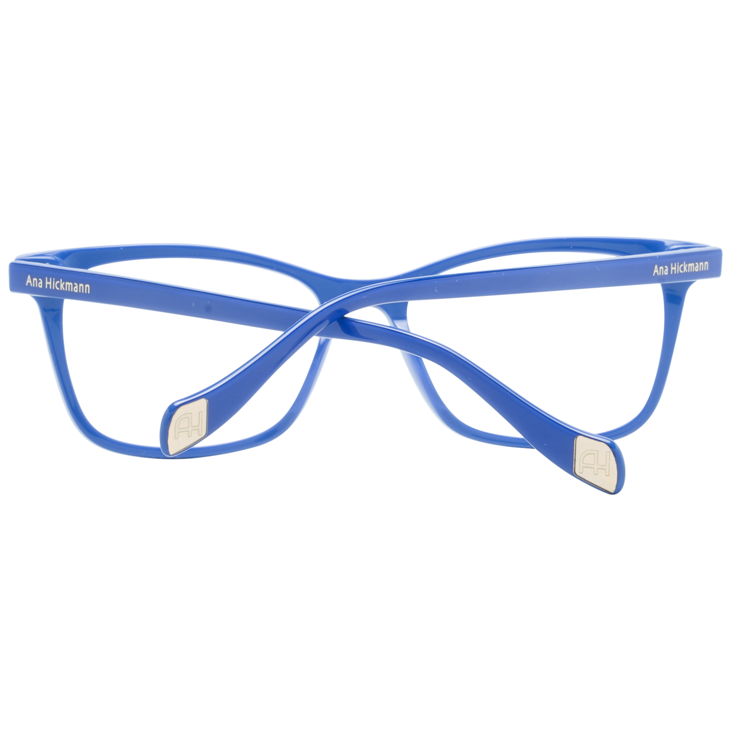 Ana Hickmann Optical Frame AH6347 H02 54