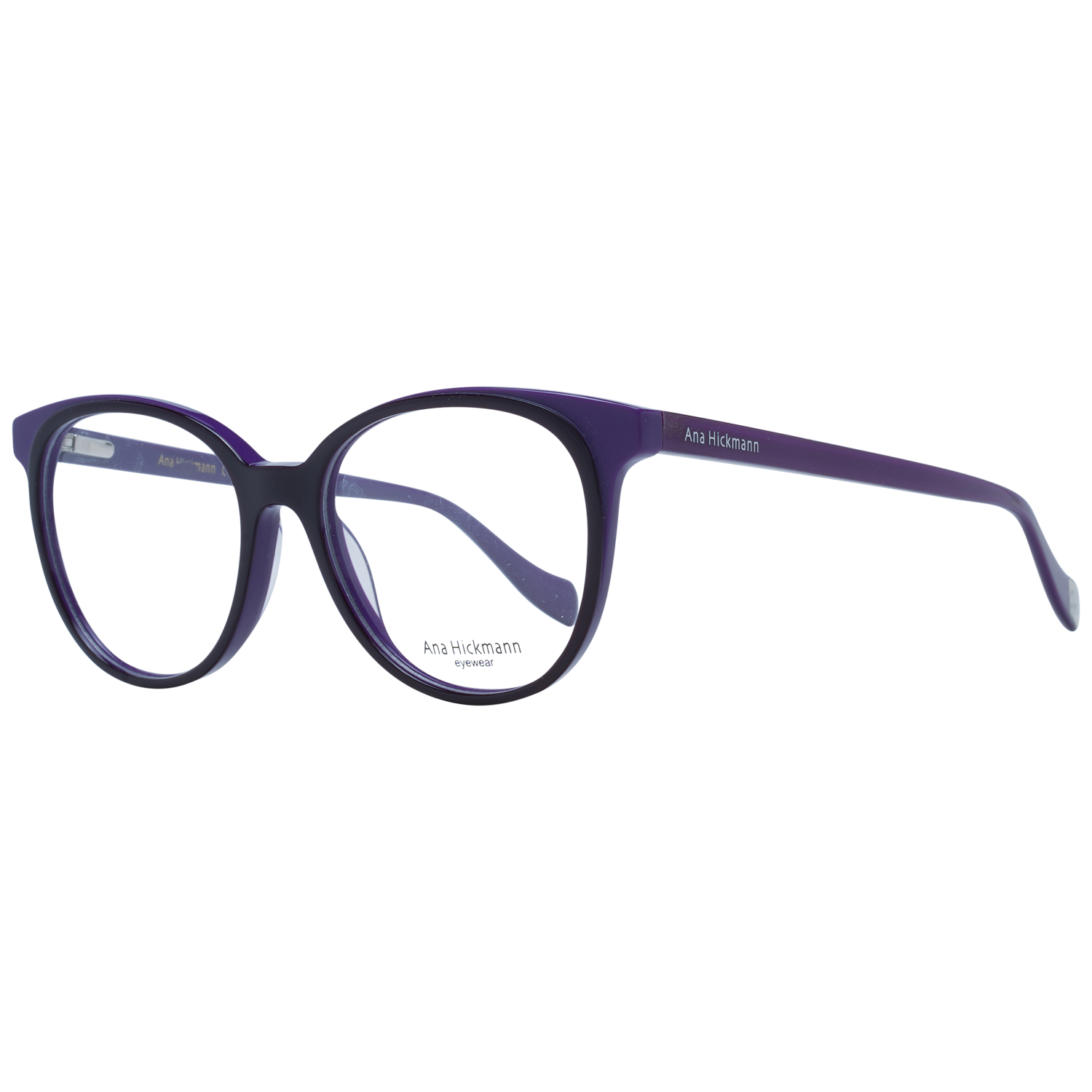 Ana Hickmann Optical Frame AH6348 02S 51