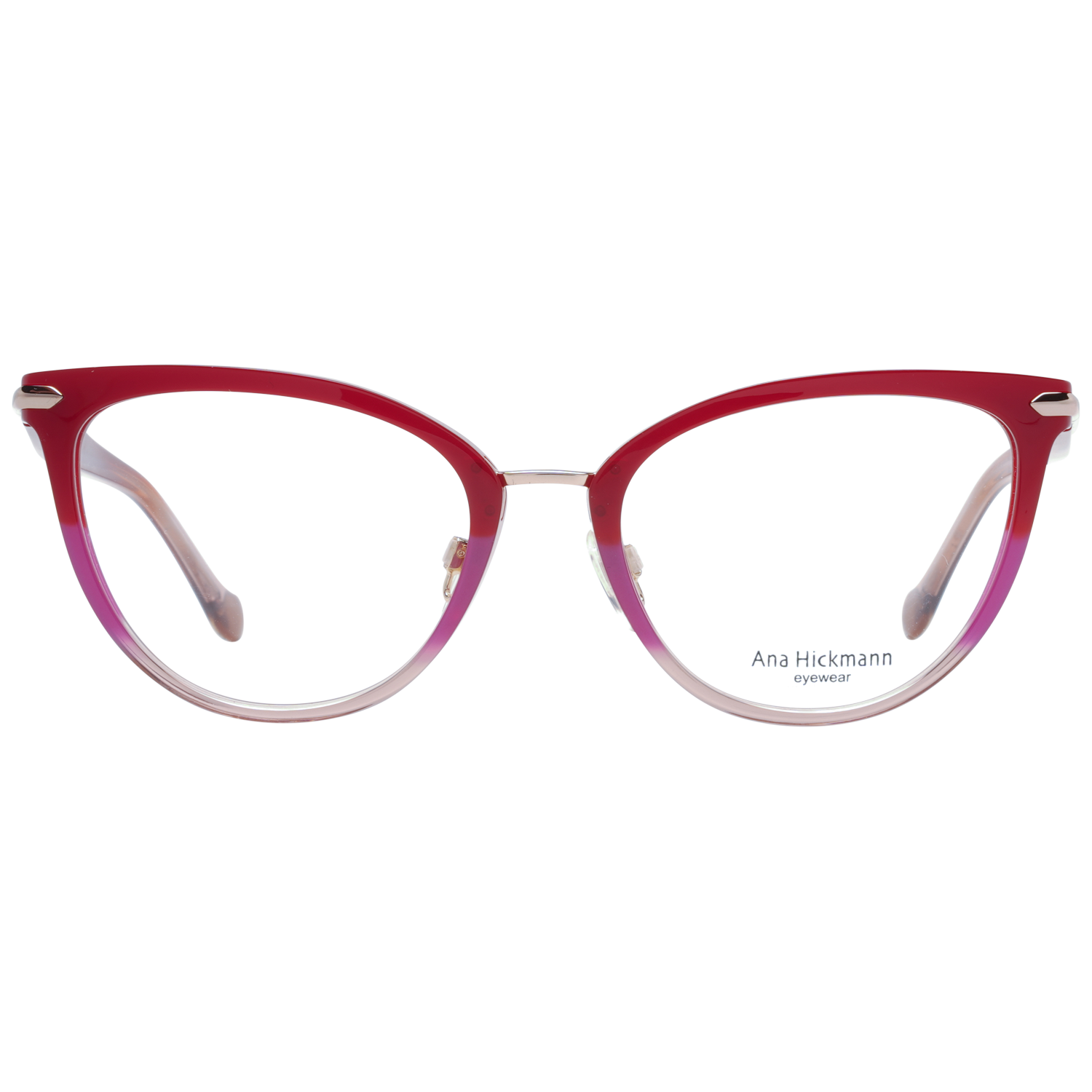 Ana Hickmann Optical Frame AH6370 C02 53