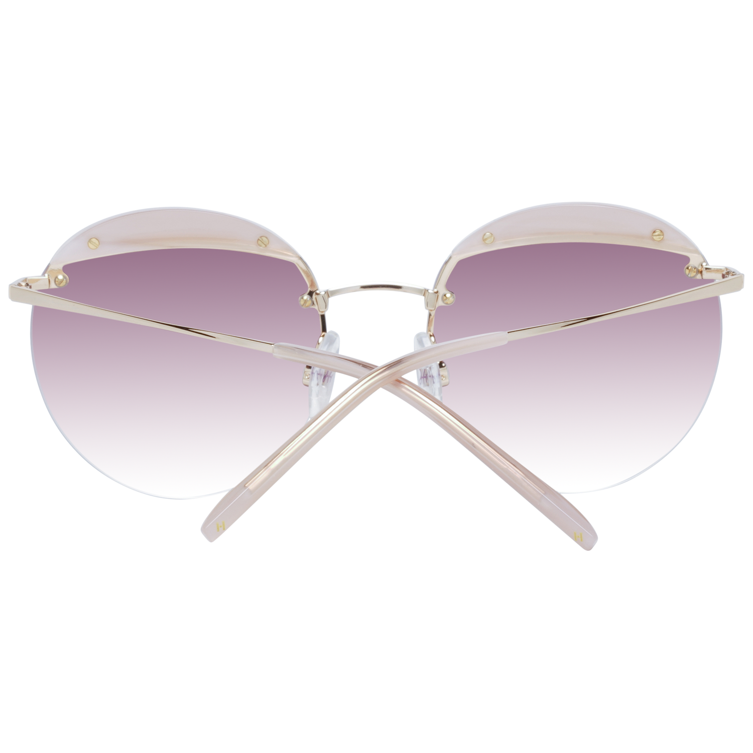 Ana Hickmann Sunglasses HI3110 E01 54