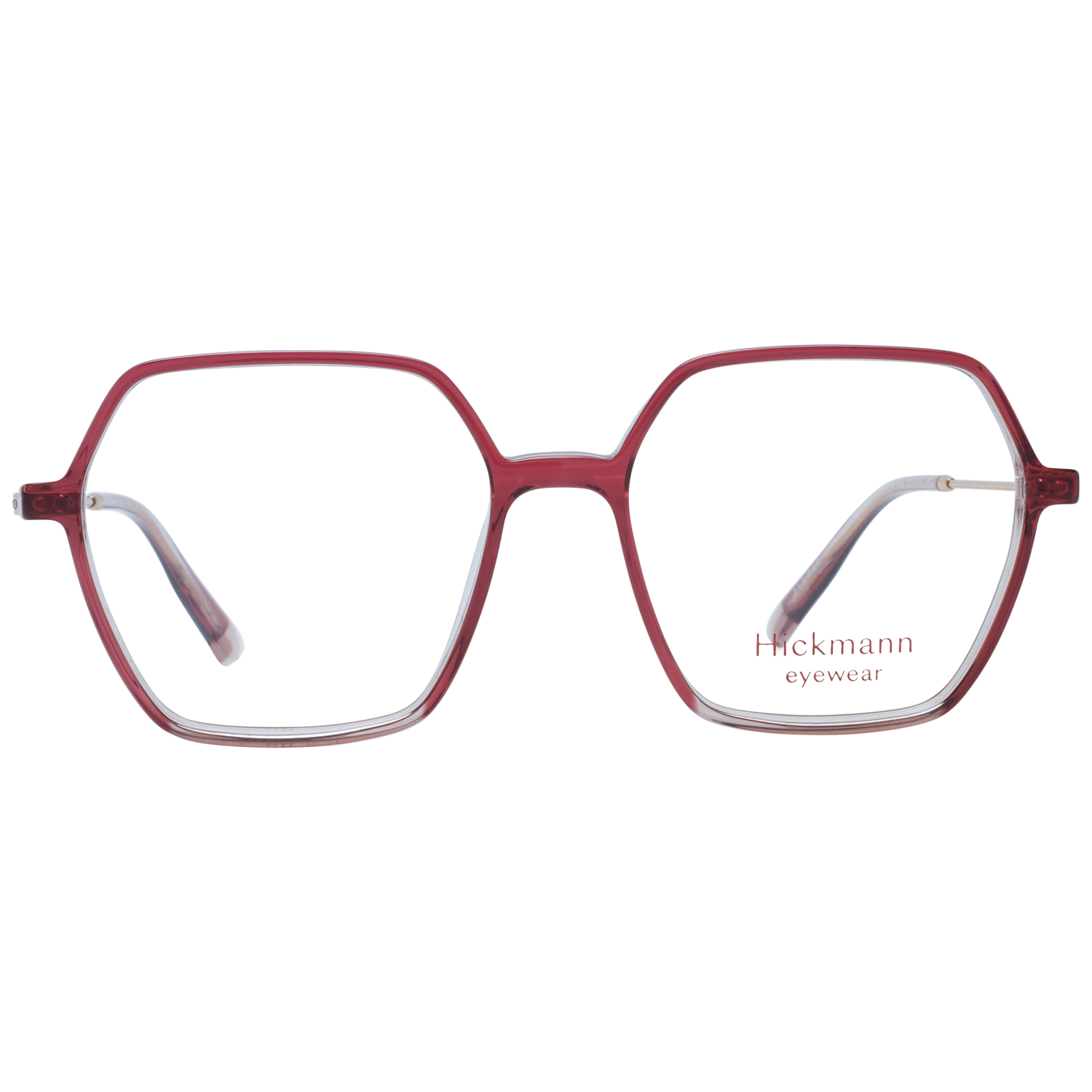 Ana Hickmann Optical Frame HI6224 H03 52
