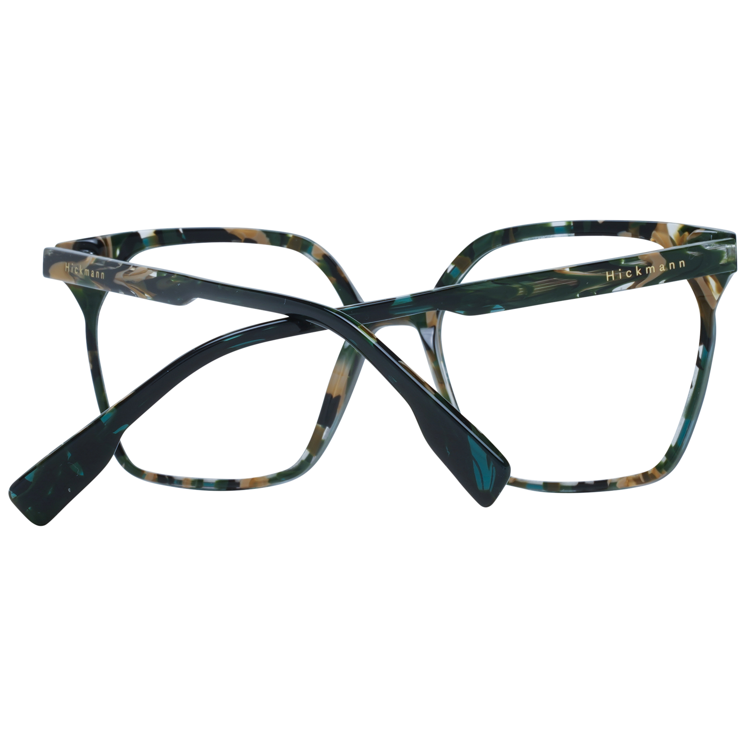 Ana Hickmann Optical Frame HI6227 H03 52