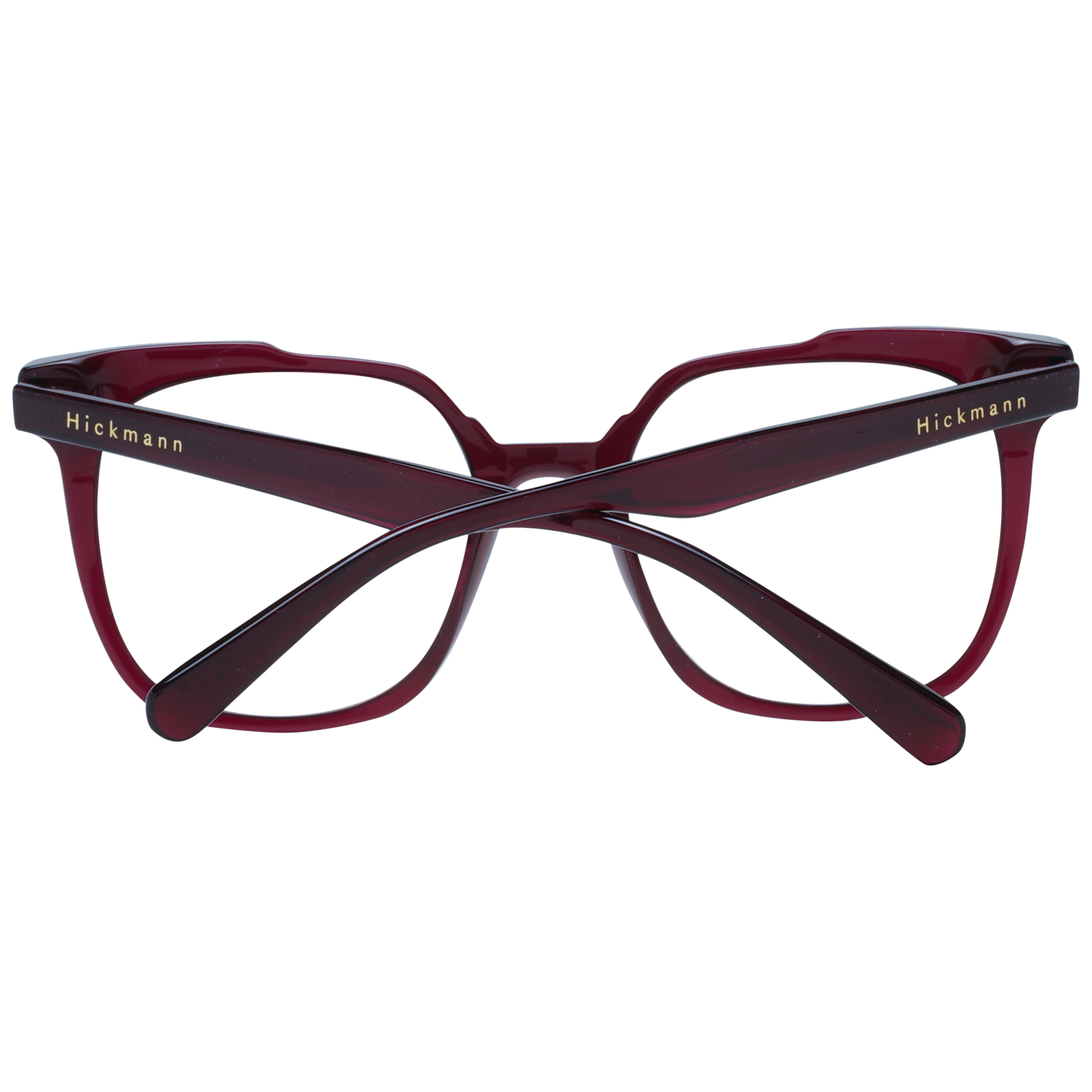 Ana Hickmann Optical Frame HI6233 T01 51