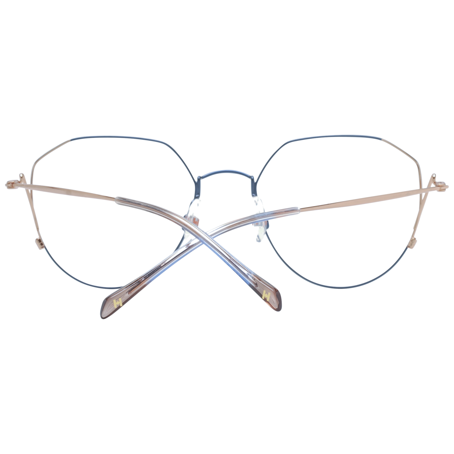 Ana Hickmann Optical Frame HIY1004 06A 50