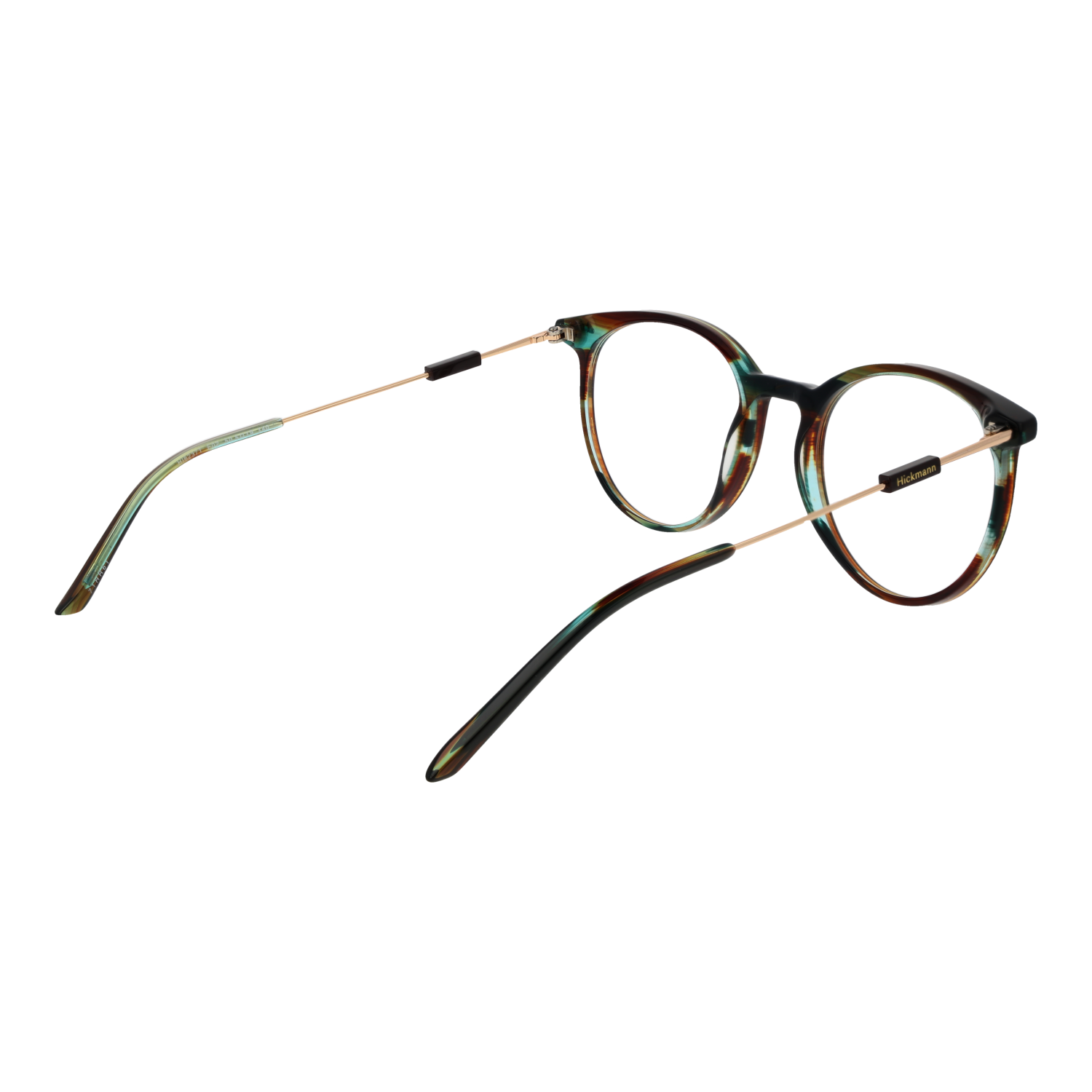 Ana Hickmann Optical Frame HI6237T E02 51