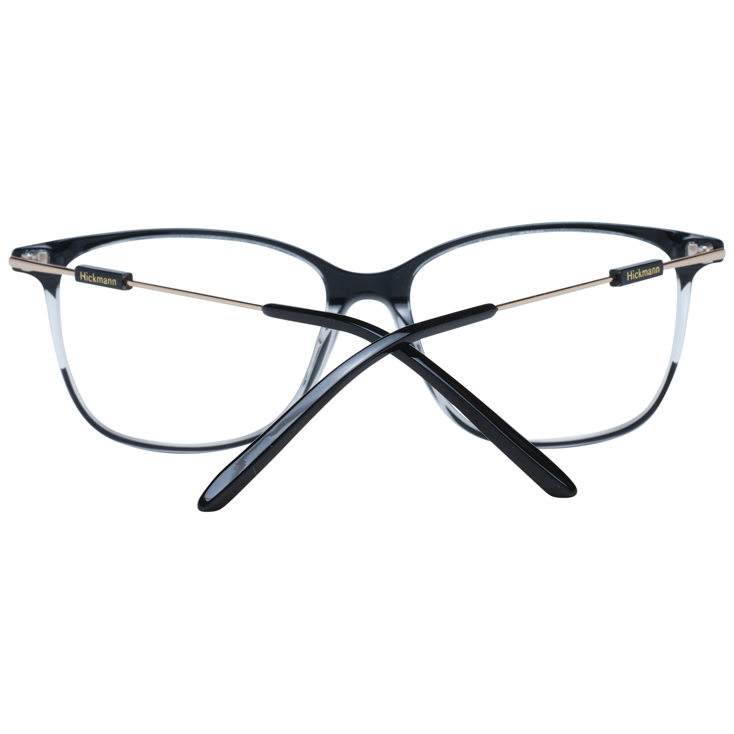 Ana Hickmann Optical Frame HI6239T H01 53 Titanium