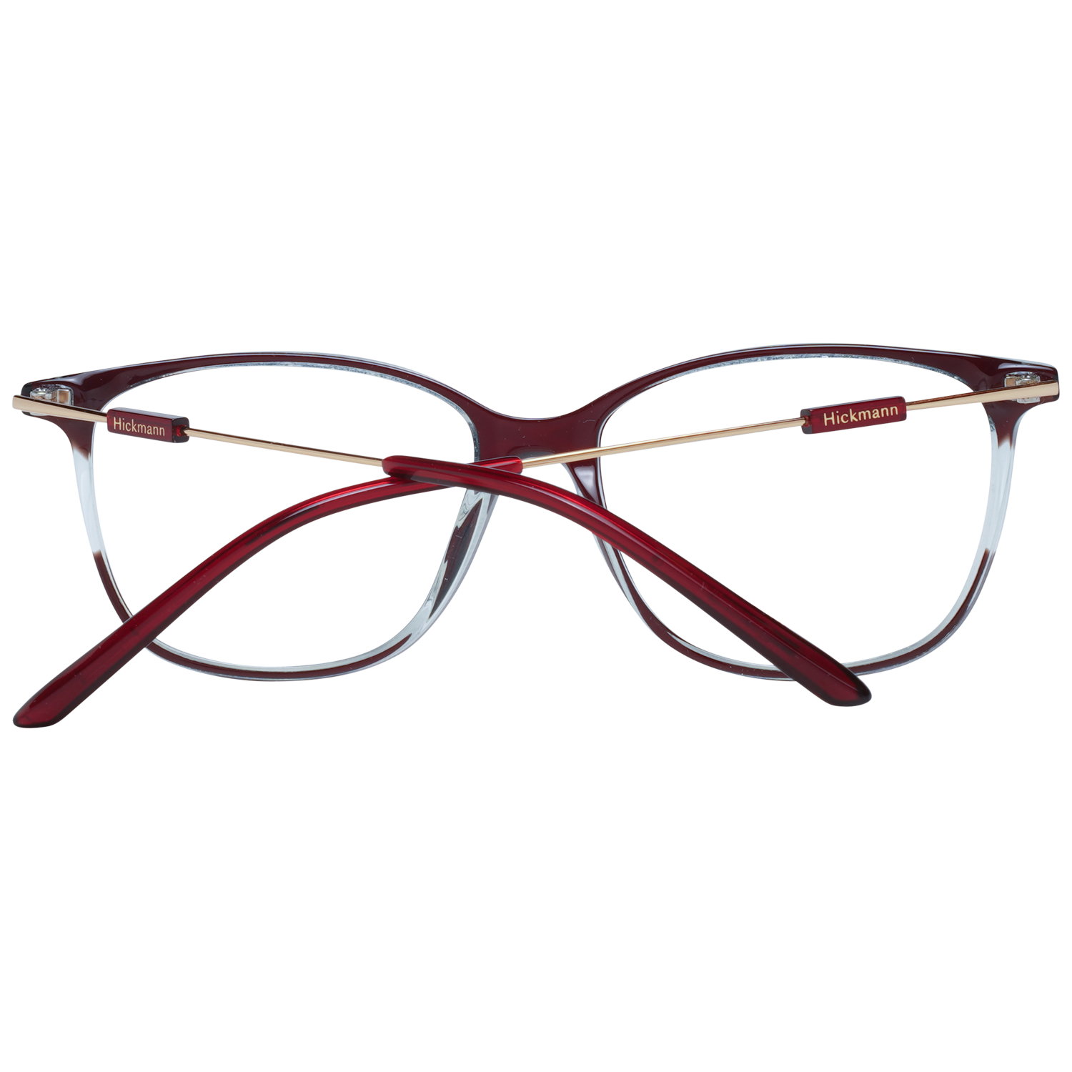 Ana Hickmann Optical Frame HI6239T H02 53 Titanium