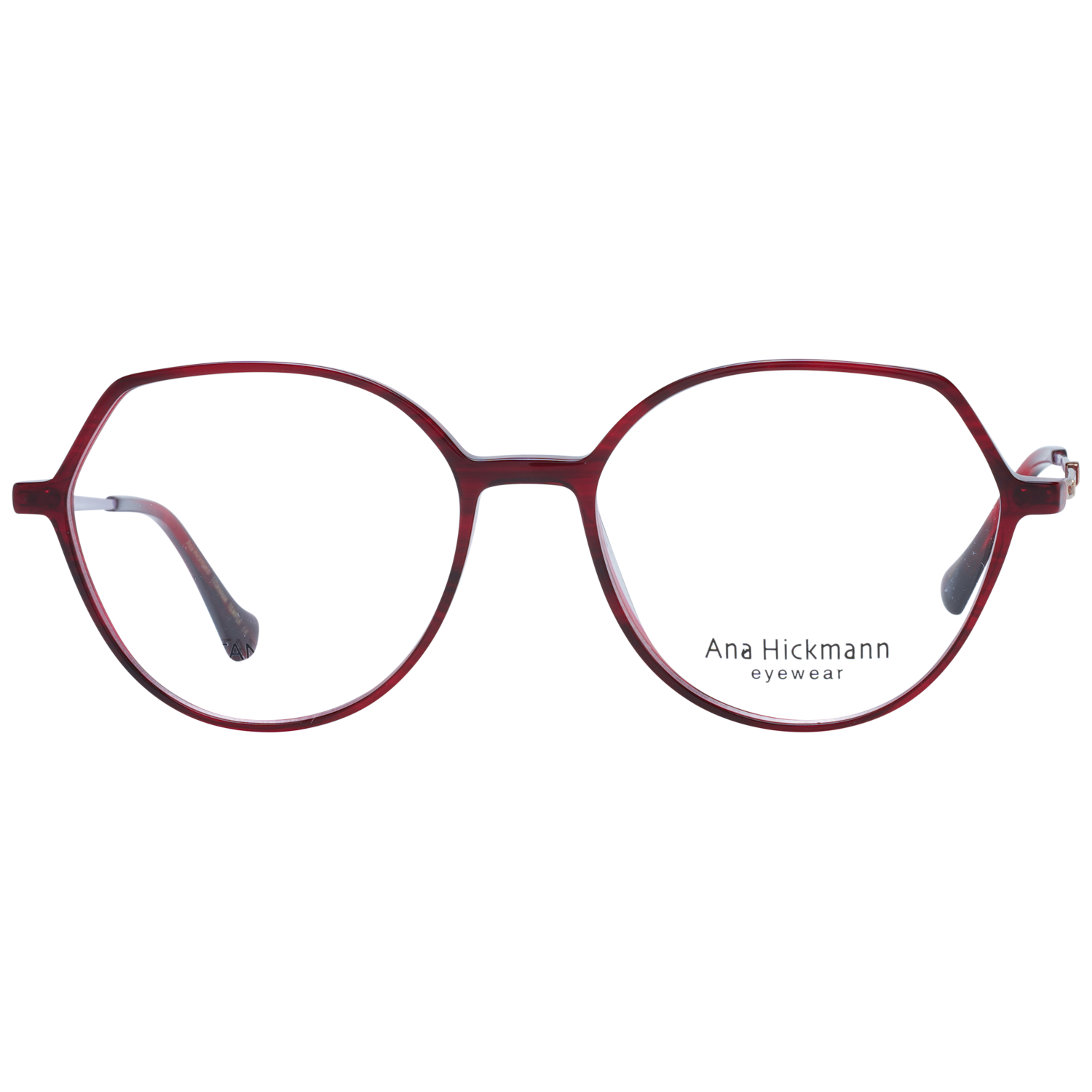 Ana Hickmann monture optique AH6469T E02 54 Titanium