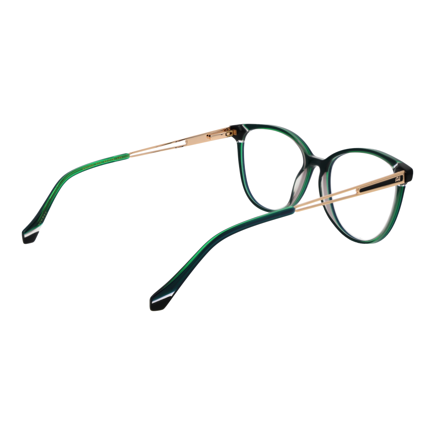 Ana Hickmann Optical Frame AH6460 P03 54