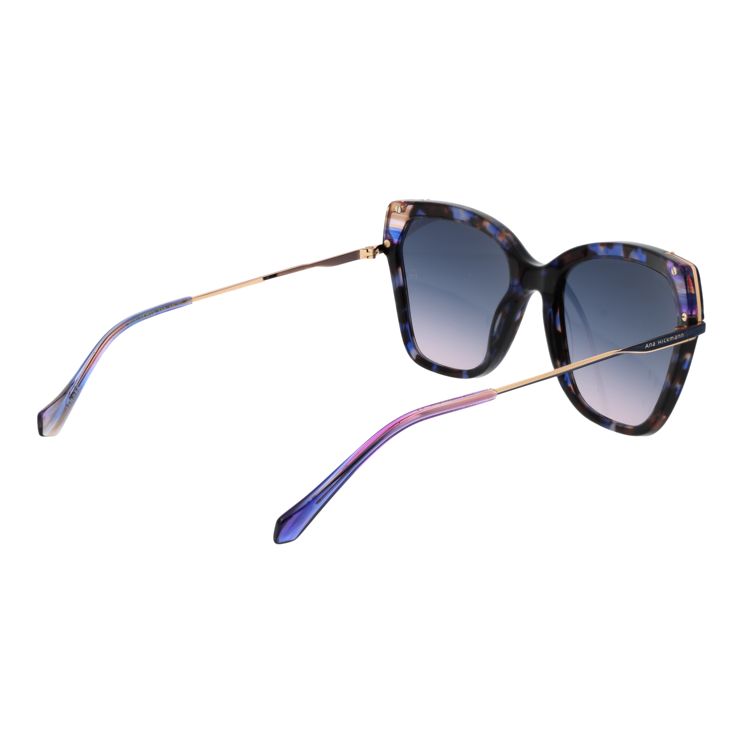 Ana Hickmann Sunglasses AH9338 P02 55