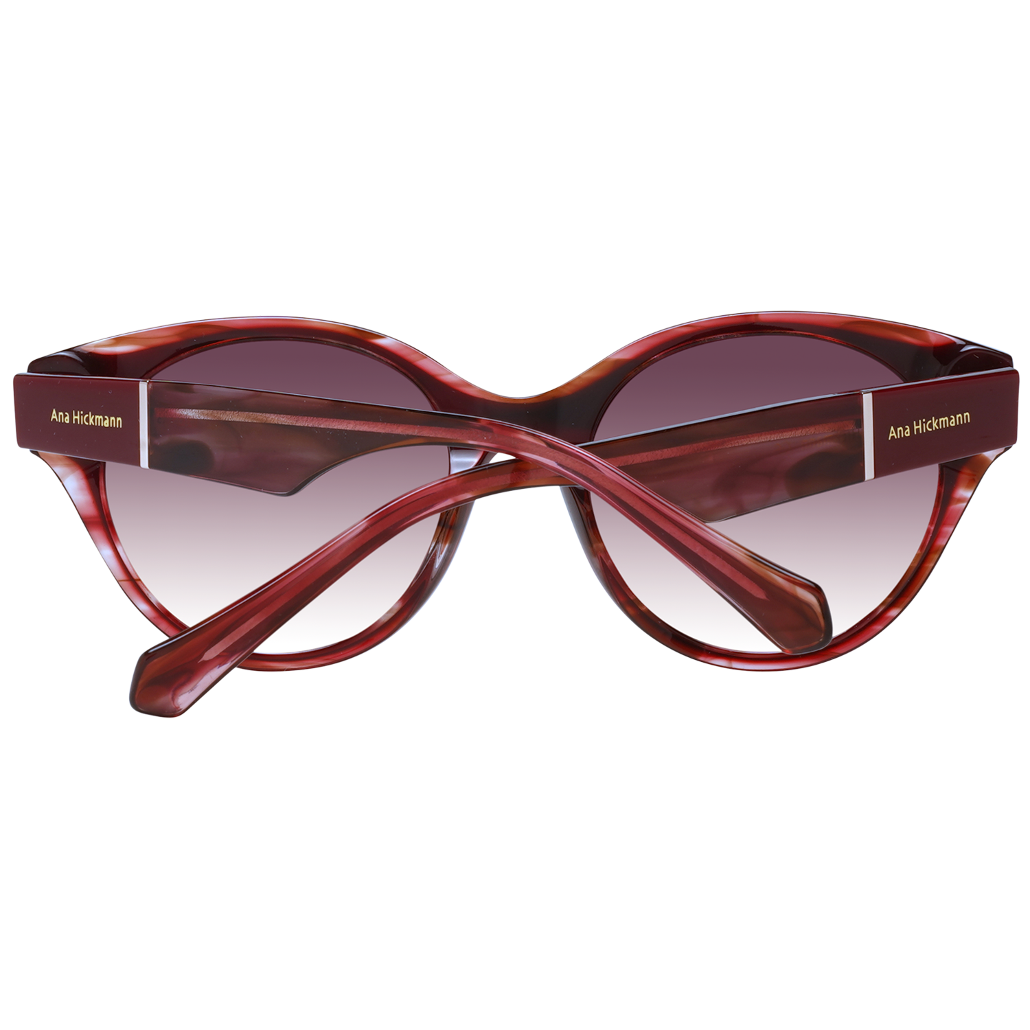 Ana Hickmann Sunglasses AH9345 H03 51