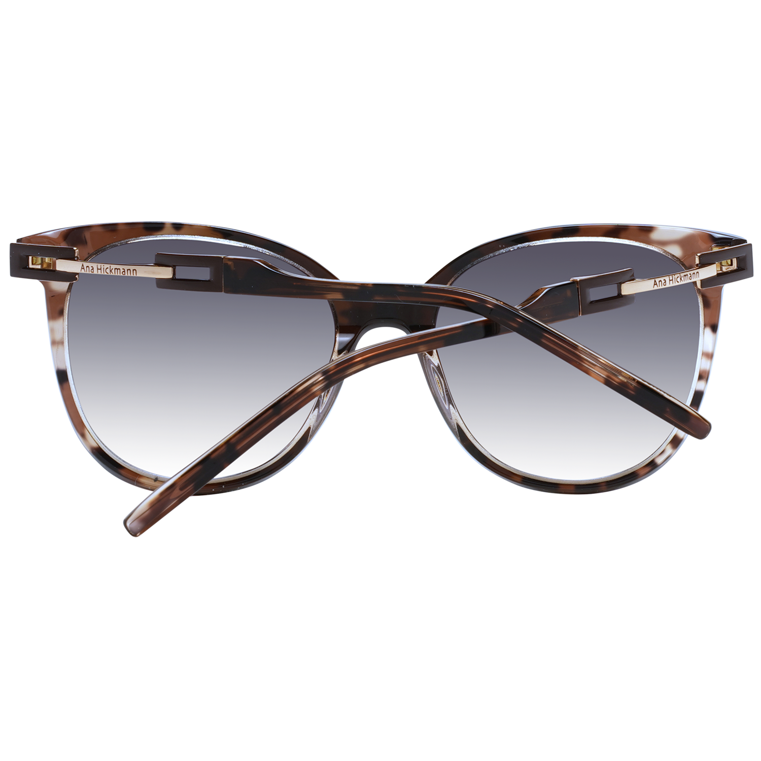 Ana Hickmann Sunglasses AH9347 C01 53