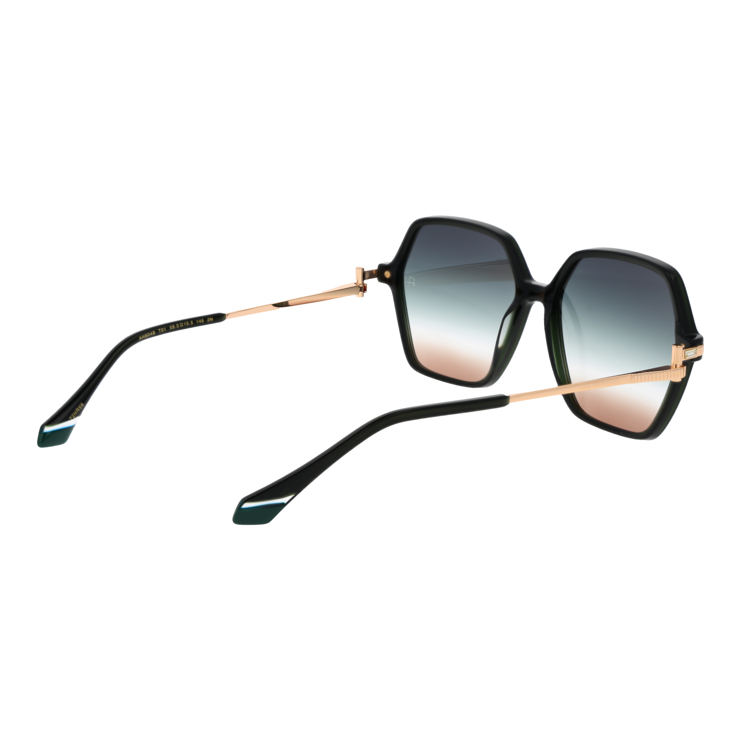 Ana Hickmann Sunglasses AH9349 T01 58