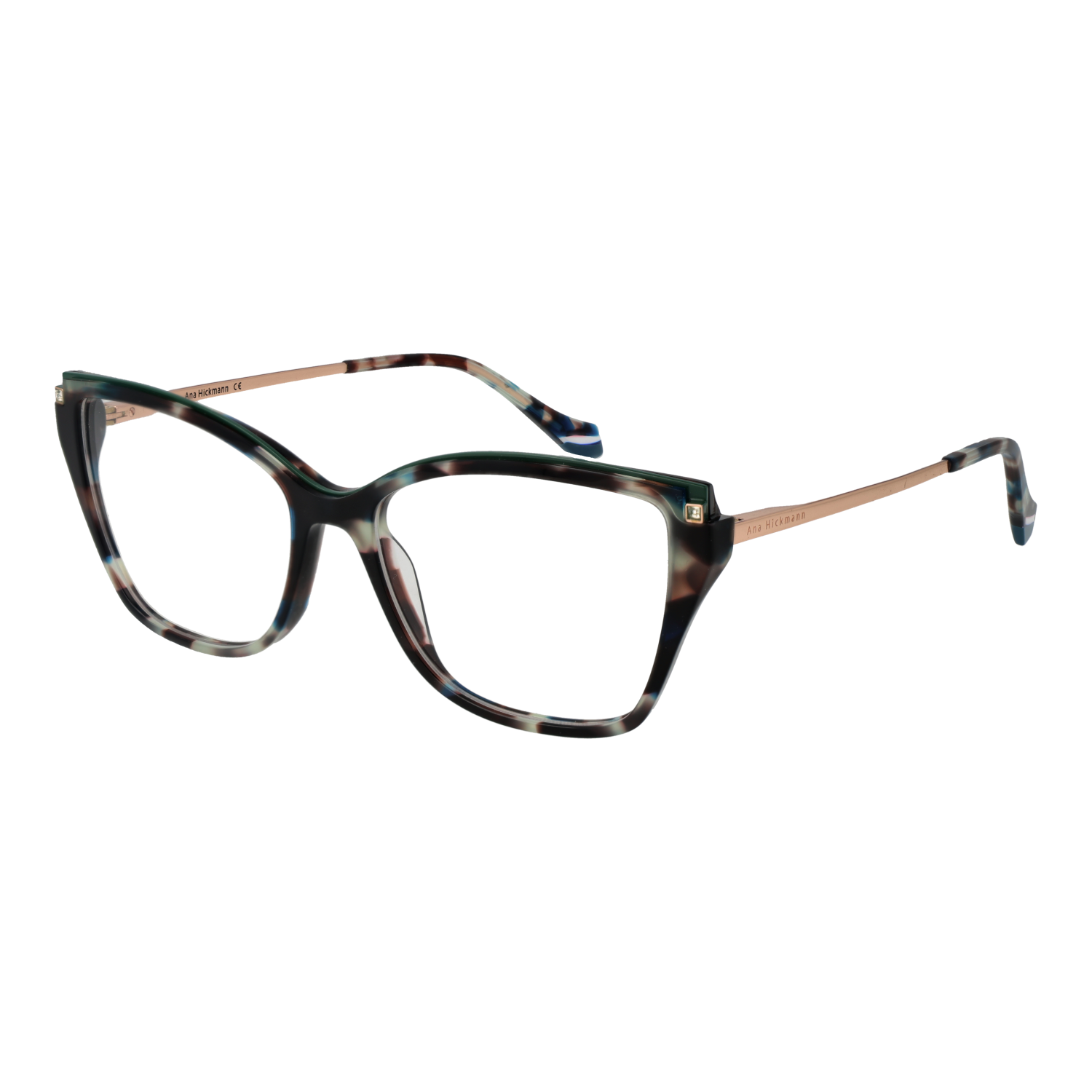 Ana Hickmann Optical Frame AH6476 G22 55