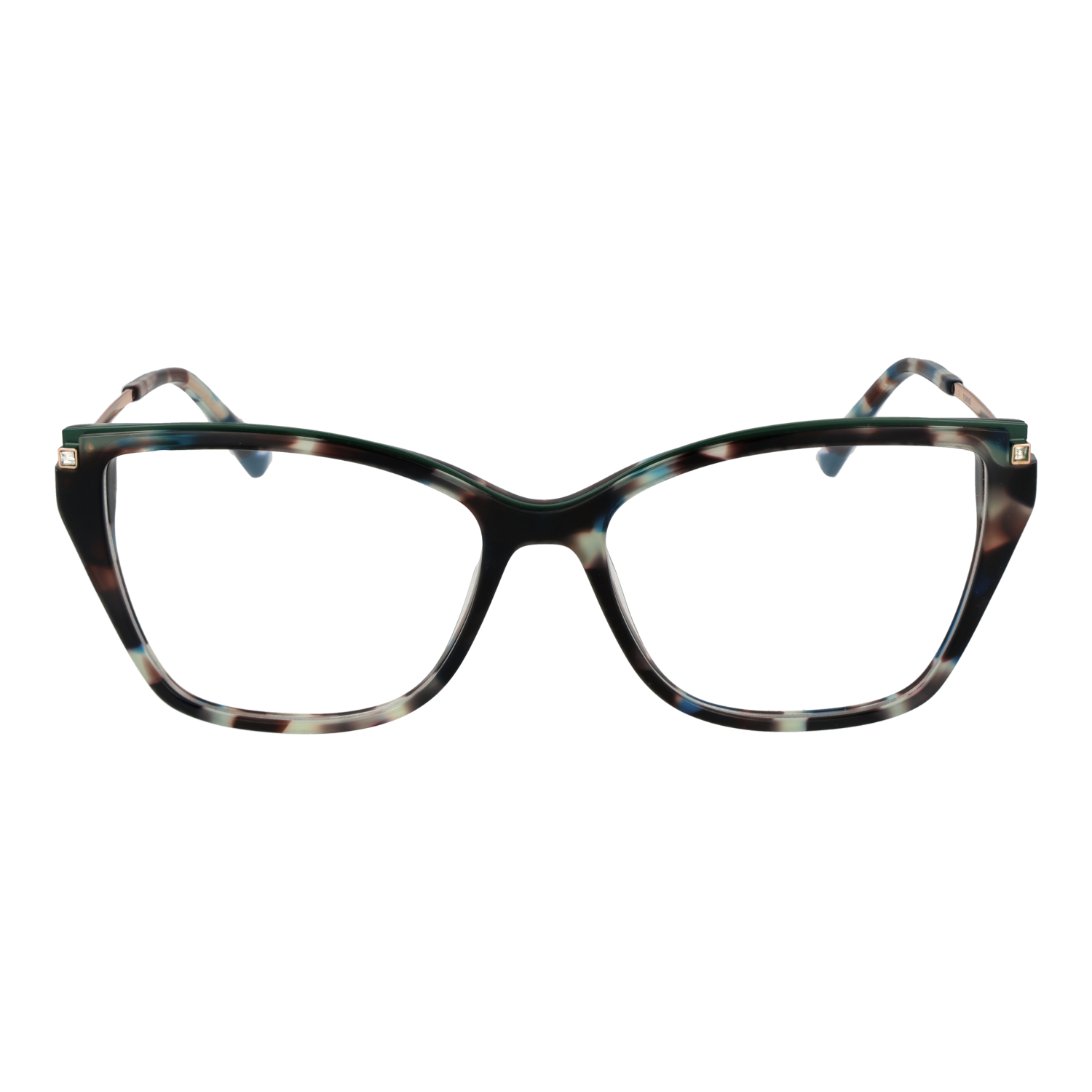 Ana Hickmann Optical Frame AH6476 G22 55