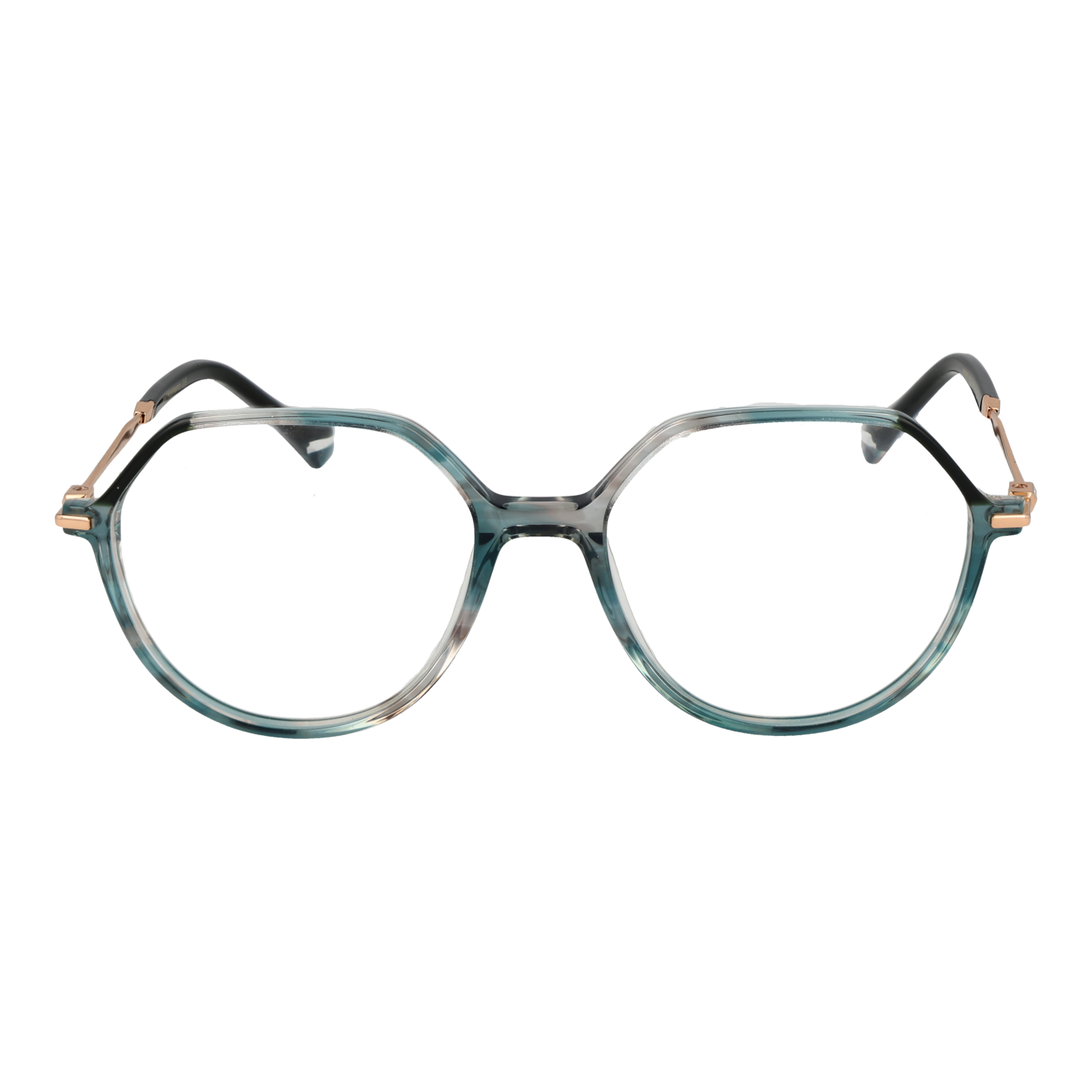 Ana Hickmann Optical Frame AH6480 P02 52
