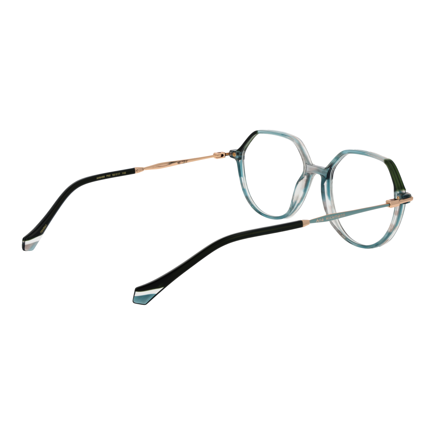 Ana Hickmann Optical Frame AH6480 P02 52