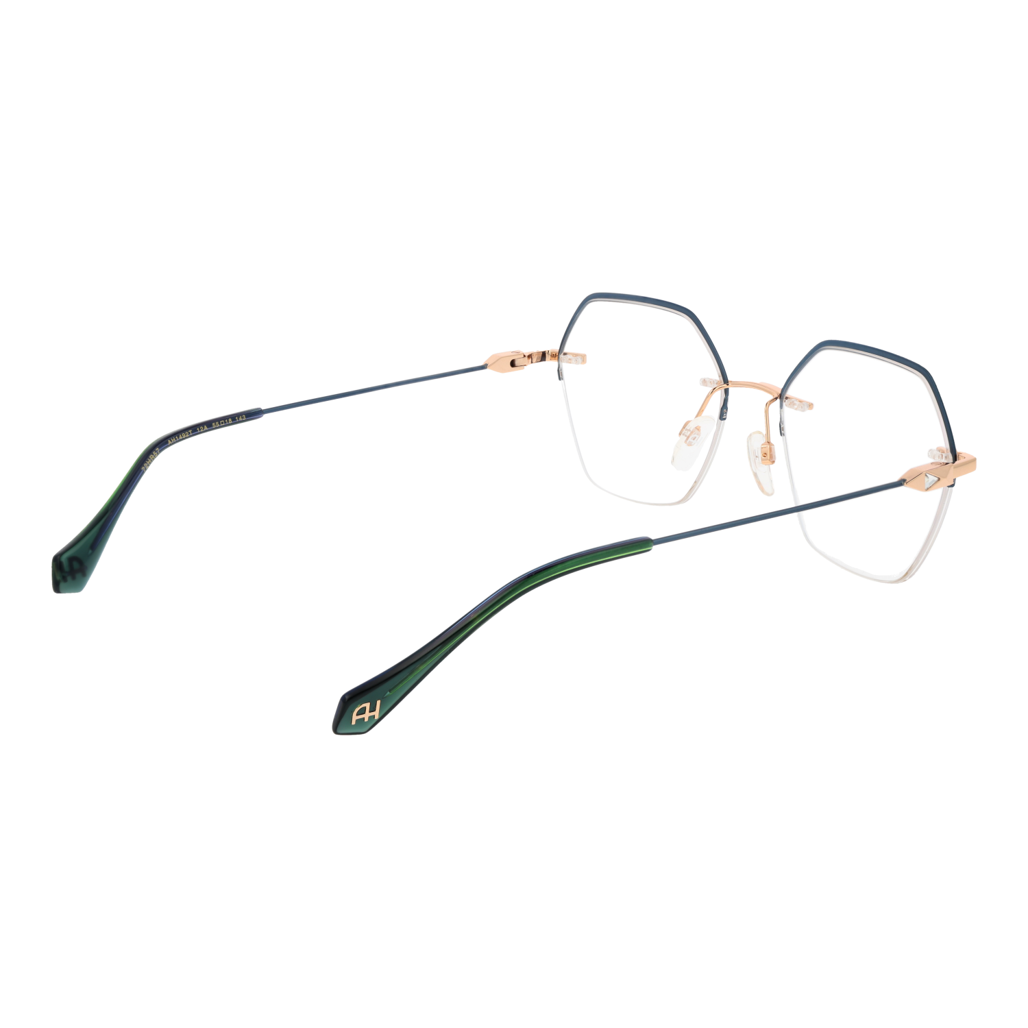 Ana Hickmann Optical Frame AH1492T 12A 54