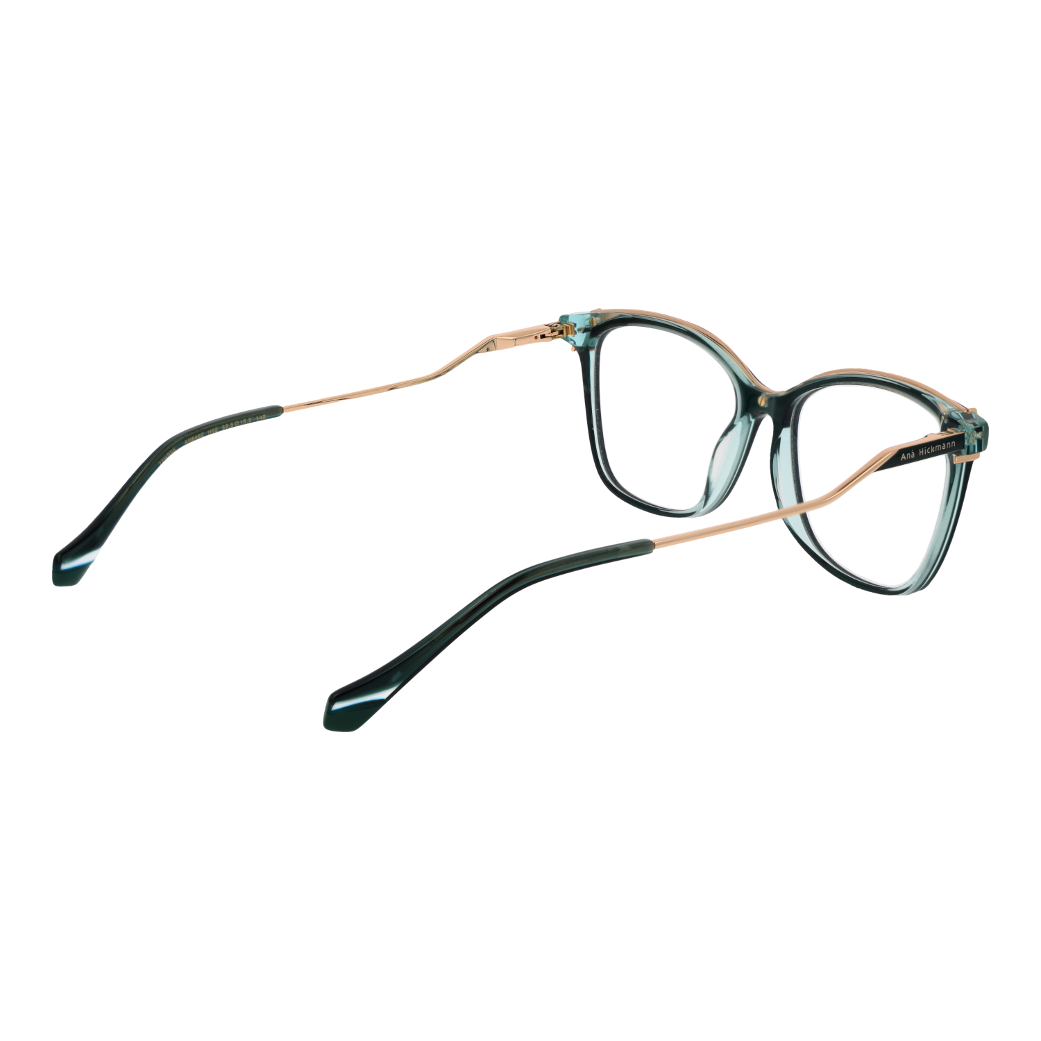 Ana Hickmann Optical Frame AH6482 H02 53