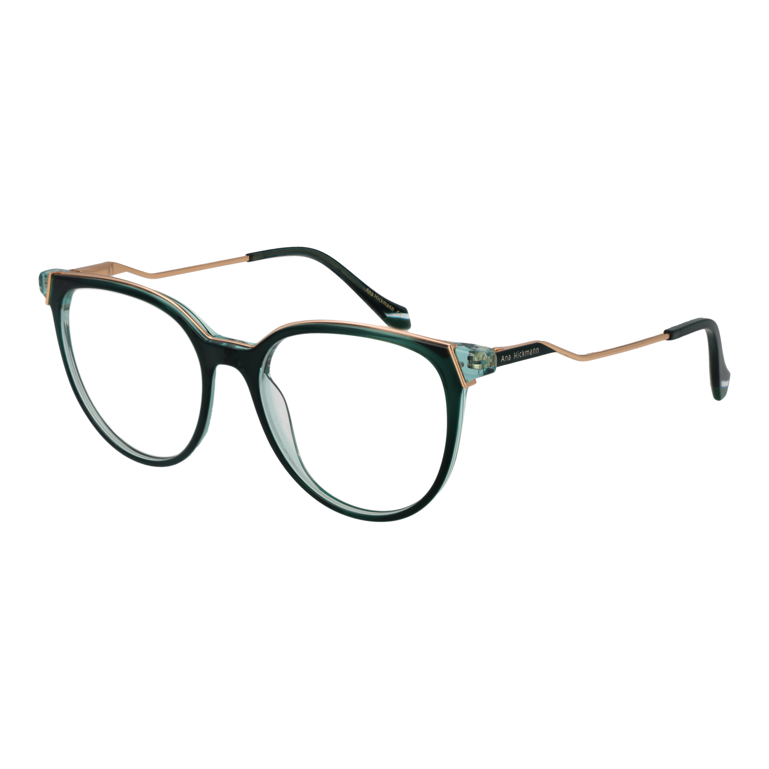 Ana Hickmann monture optique AH6483 H02 53