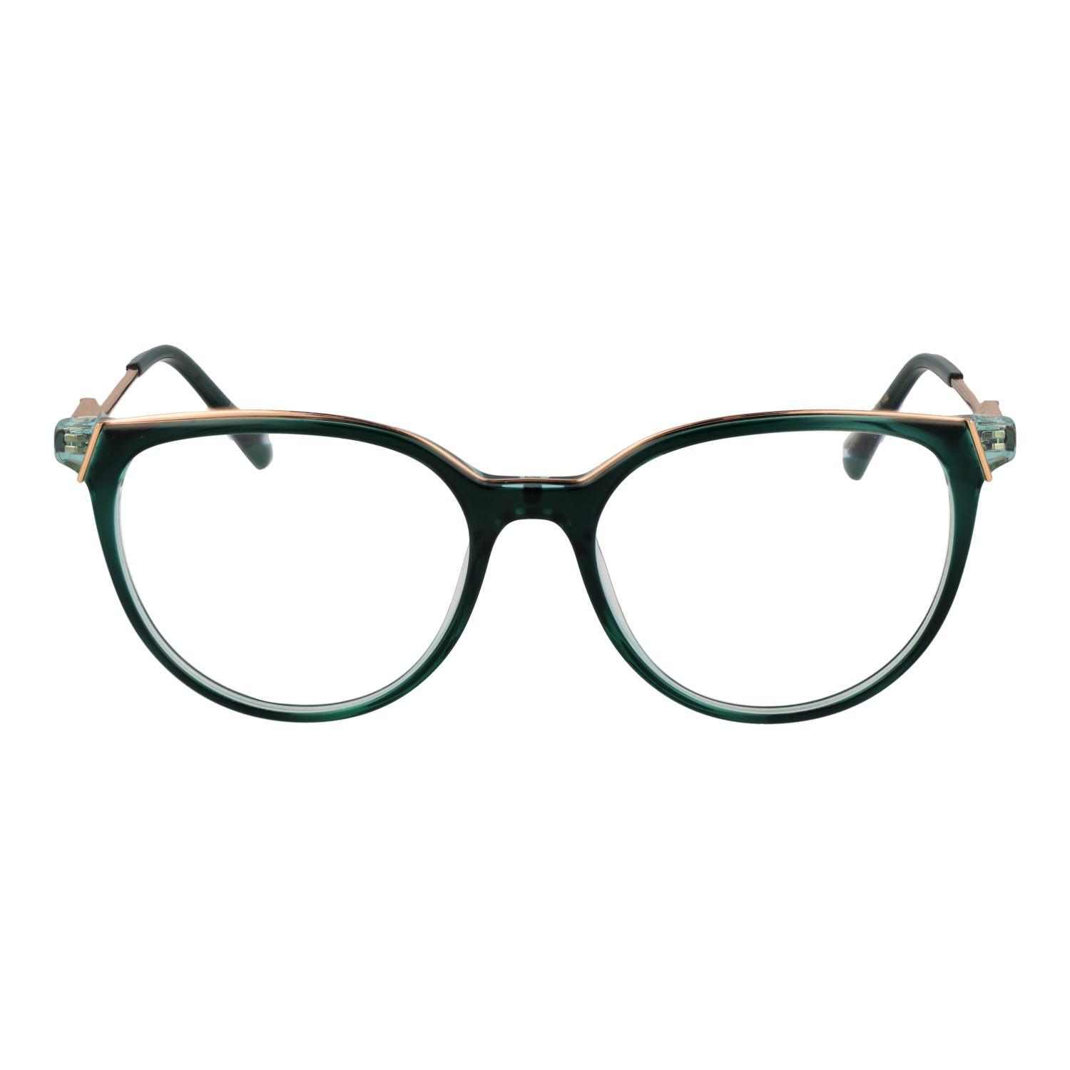 Ana Hickmann monture optique AH6483 H02 53