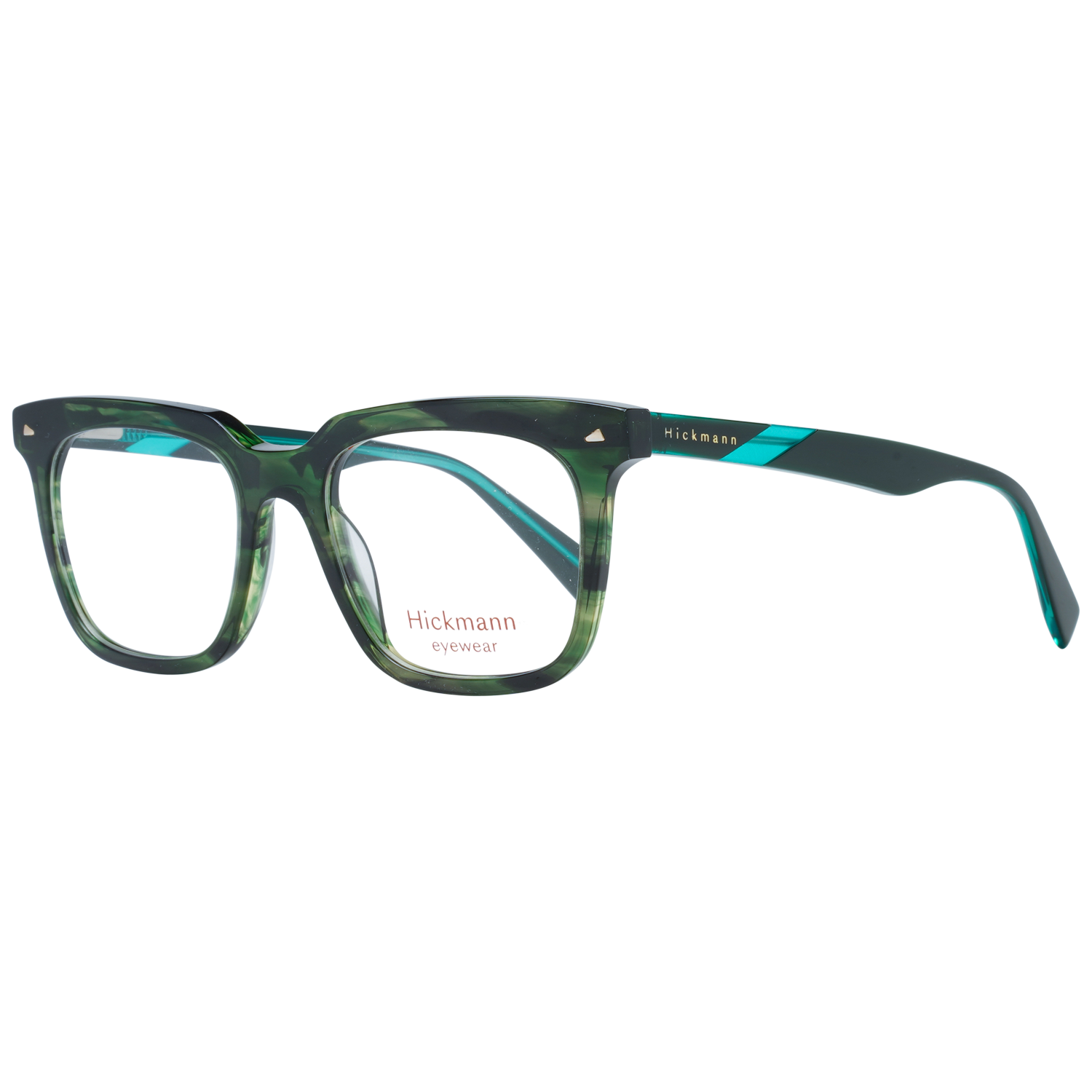 Ana Hickmann monture optique HI6252 E03 49