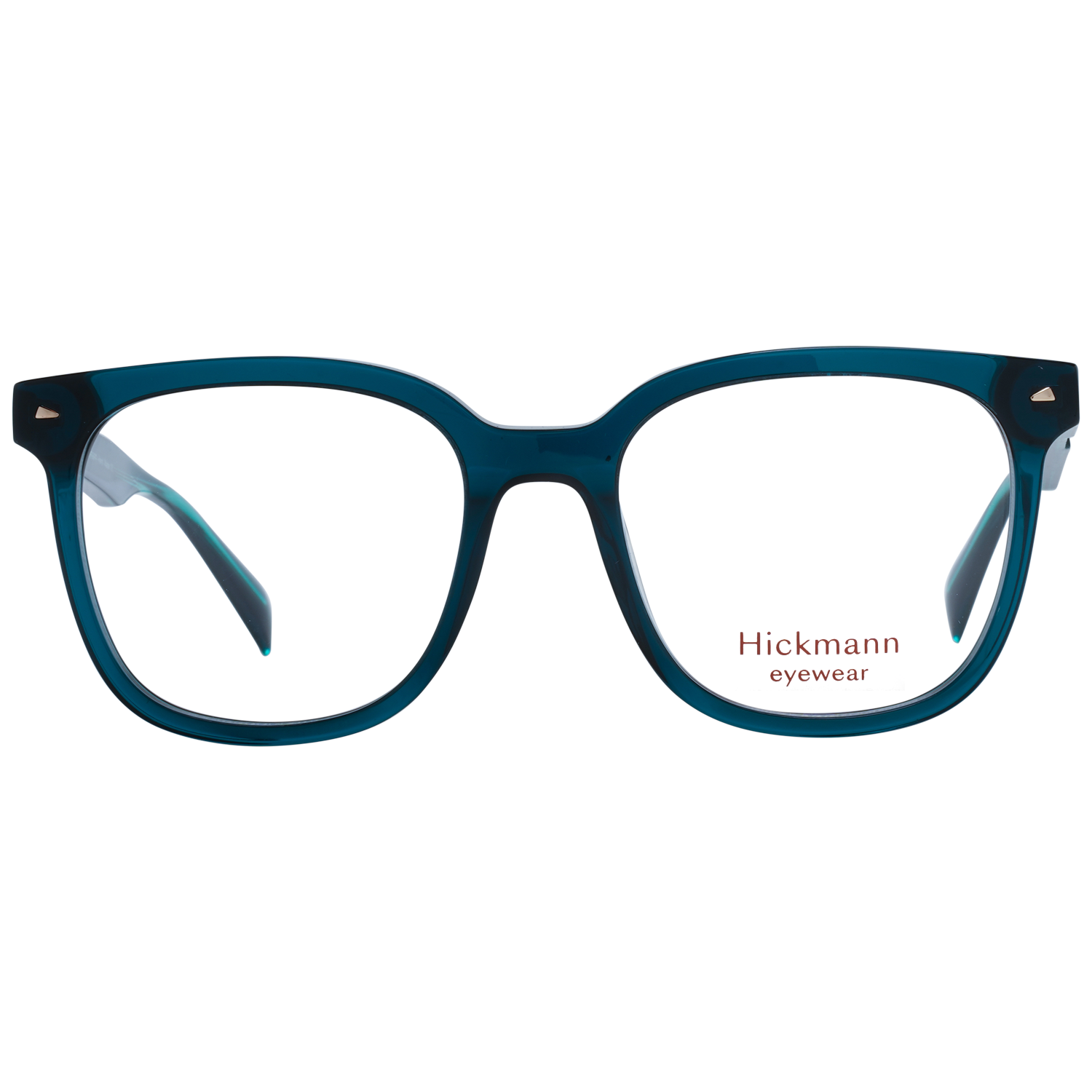 Ana Hickmann Optical Frame HI6253 T01 51