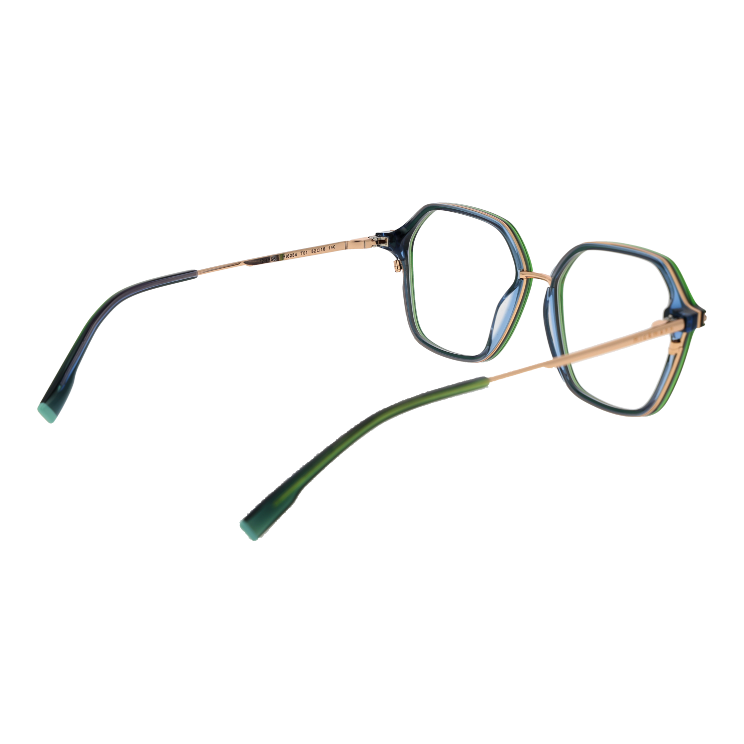 Ana Hickmann Optical Frame HI6254 T01 52