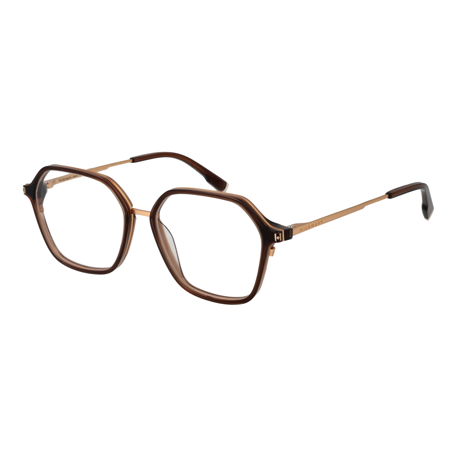 Ana Hickmann Optical Frame HI6254 T02 52
