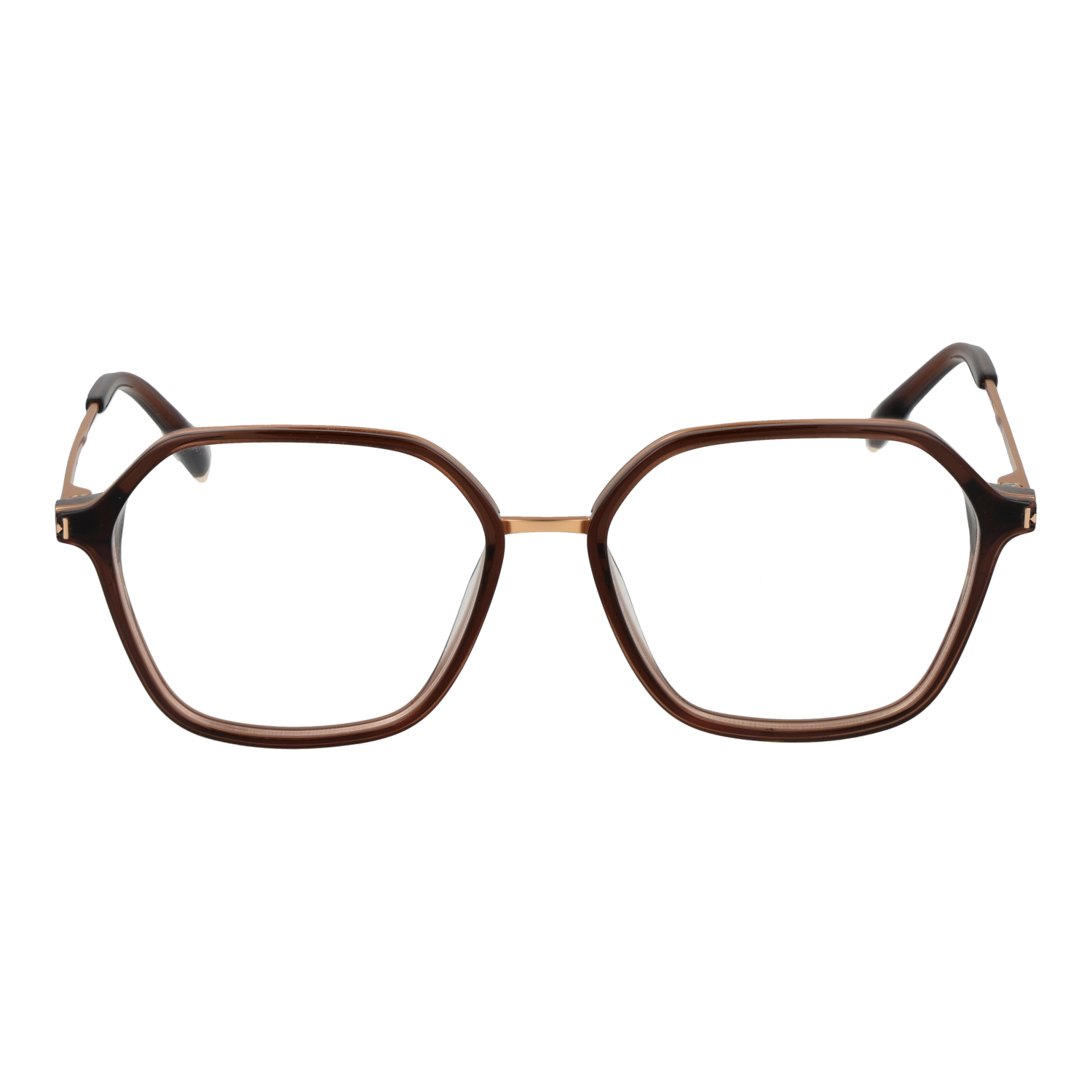 Ana Hickmann Optical Frame HI6254 T02 52