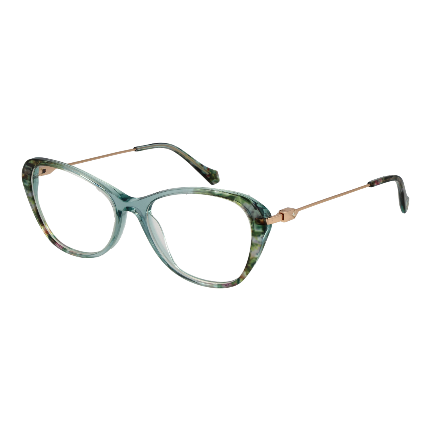 Ana Hickmann monture optique AH6495T C01 54