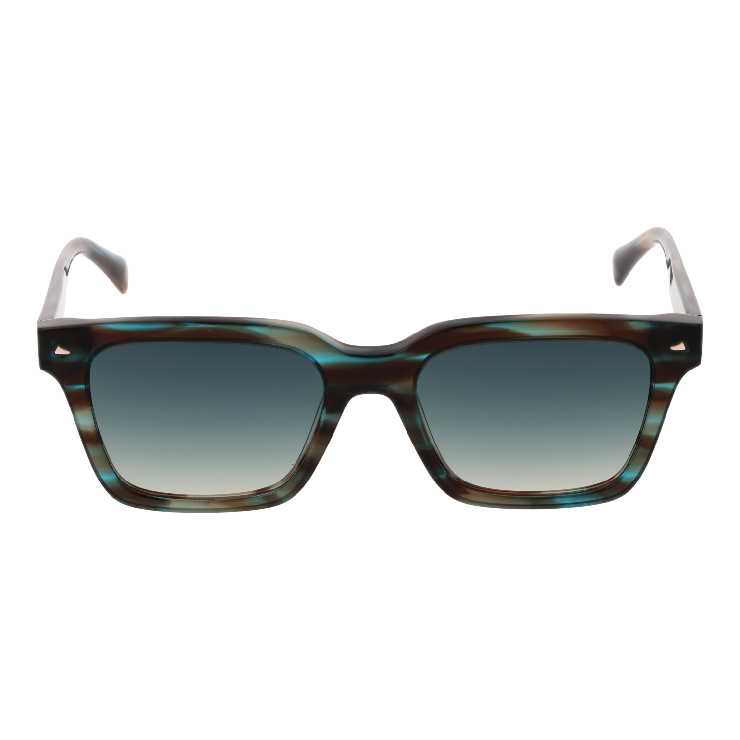 Ana Hickmann Sunglasses HI9172 E01 52