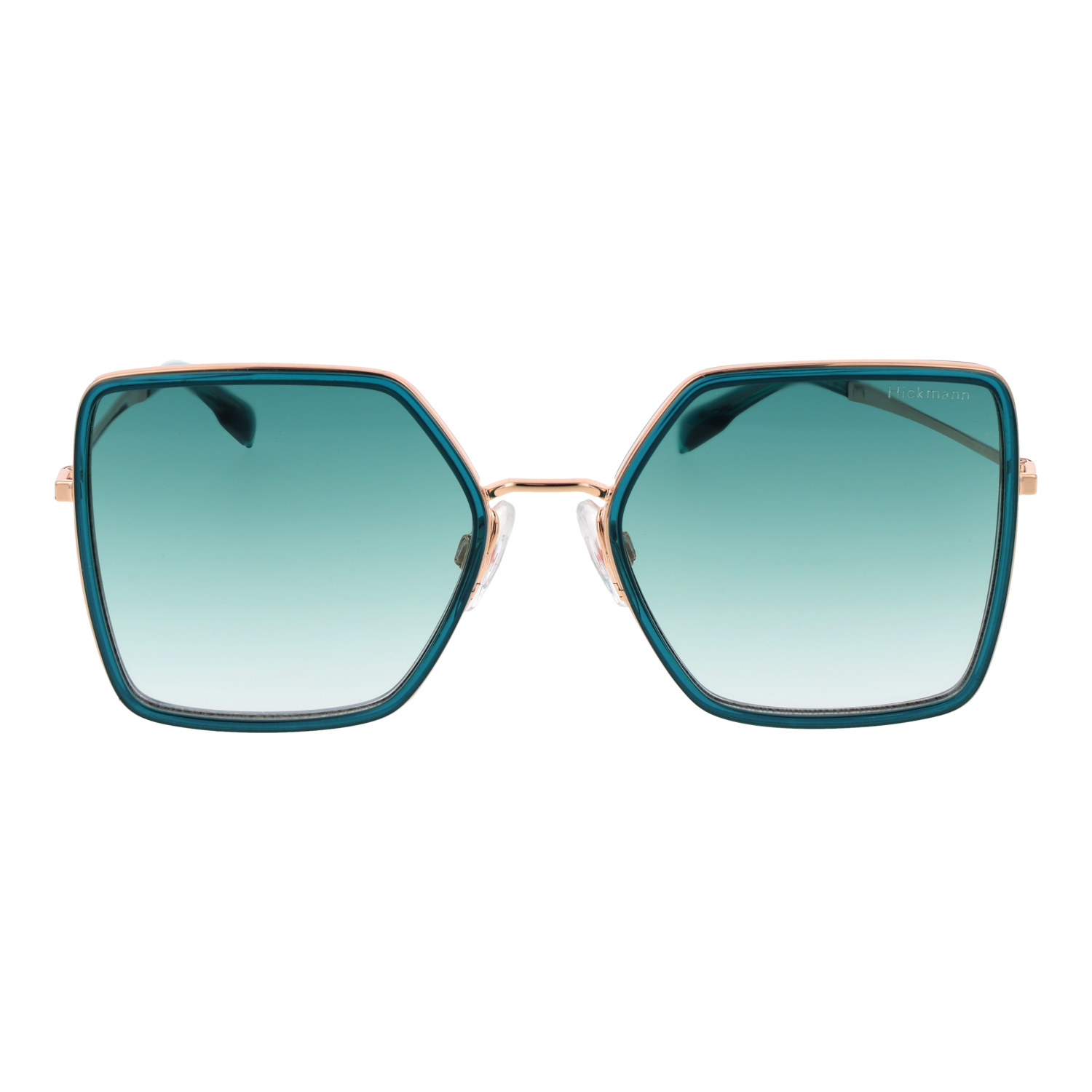 Ana Hickmann Sunglasses HIY3002 H01 52
