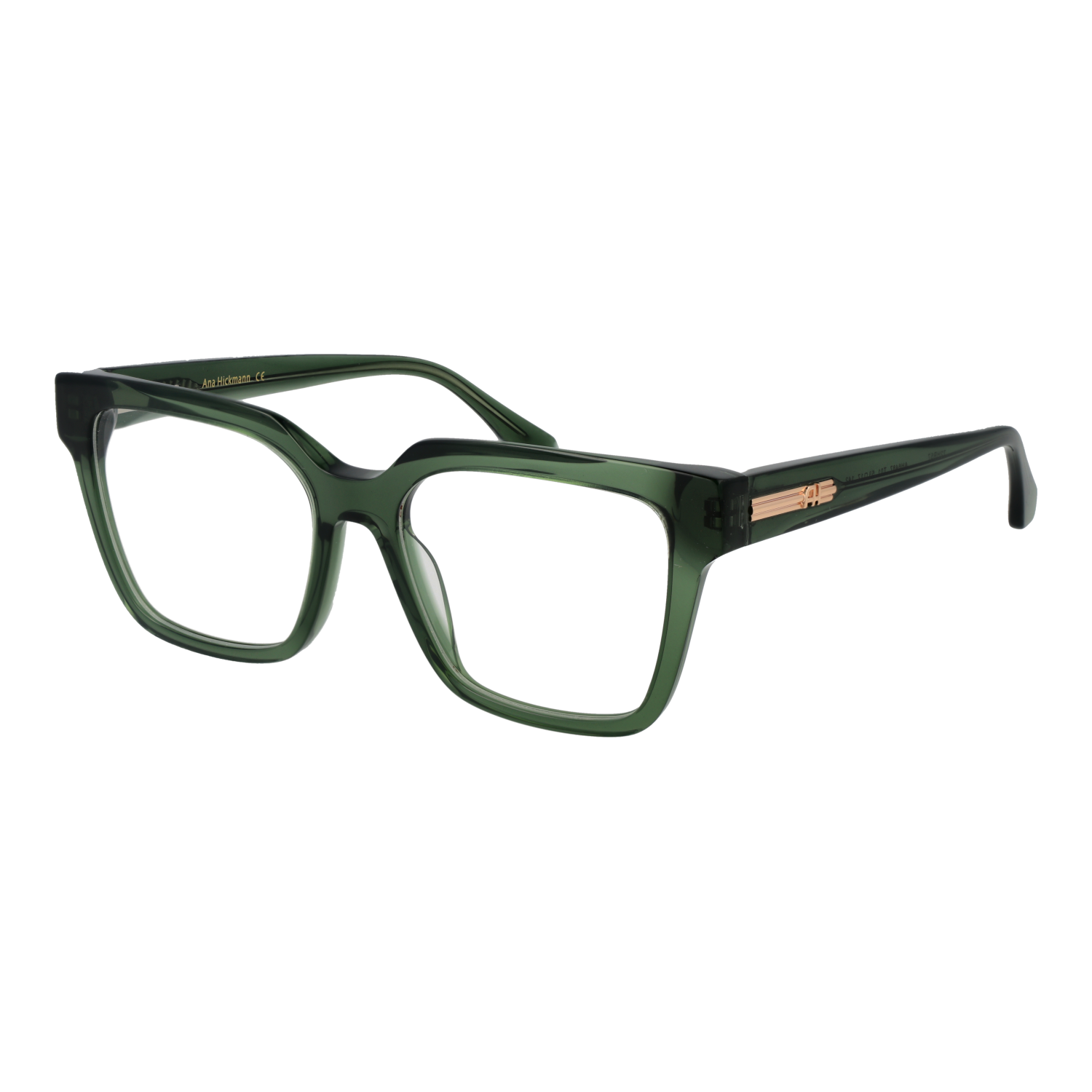 Ana Hickmann Optical Frame AH6487 T01 53