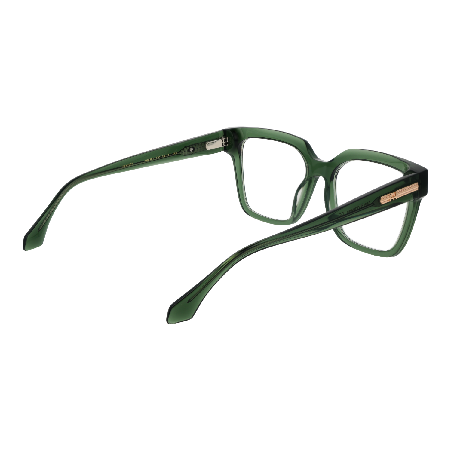 Ana Hickmann Optical Frame AH6487 T01 53
