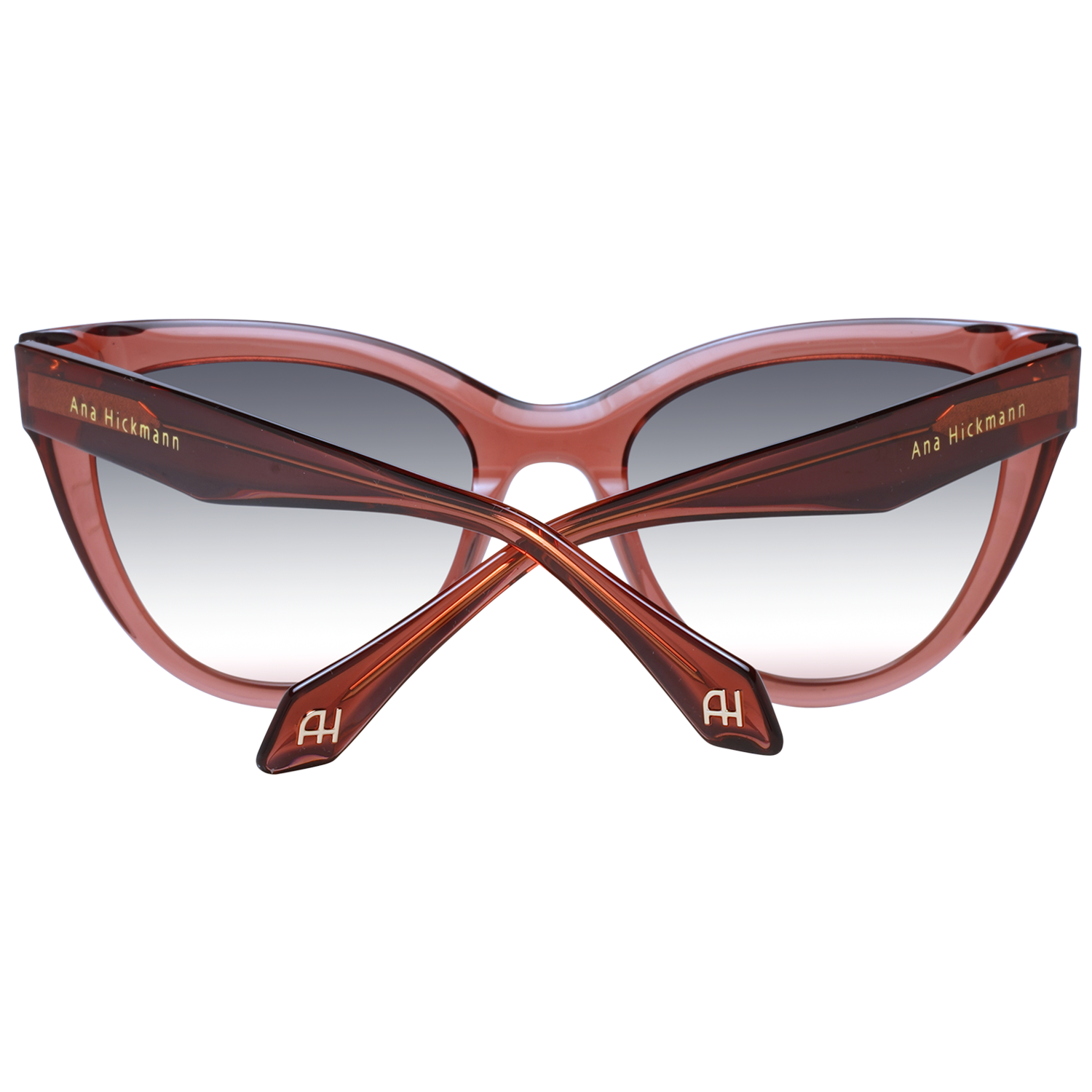 Ana Hickmann Sunglasses AH9367 T02 53